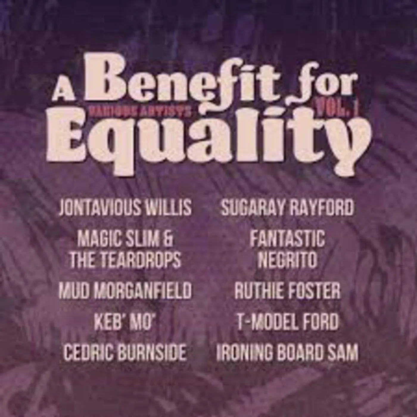 Various Artists   Benefit For Equality 1 Vinyl Record
