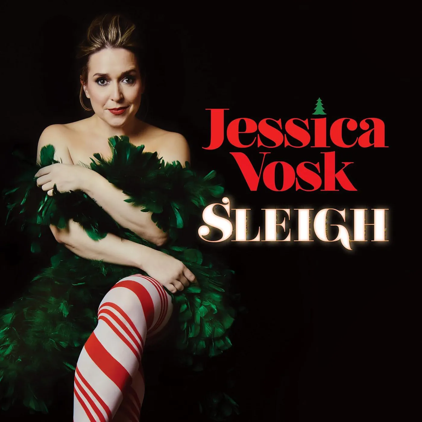 Jessica Vosk Sleigh Vinyl Record