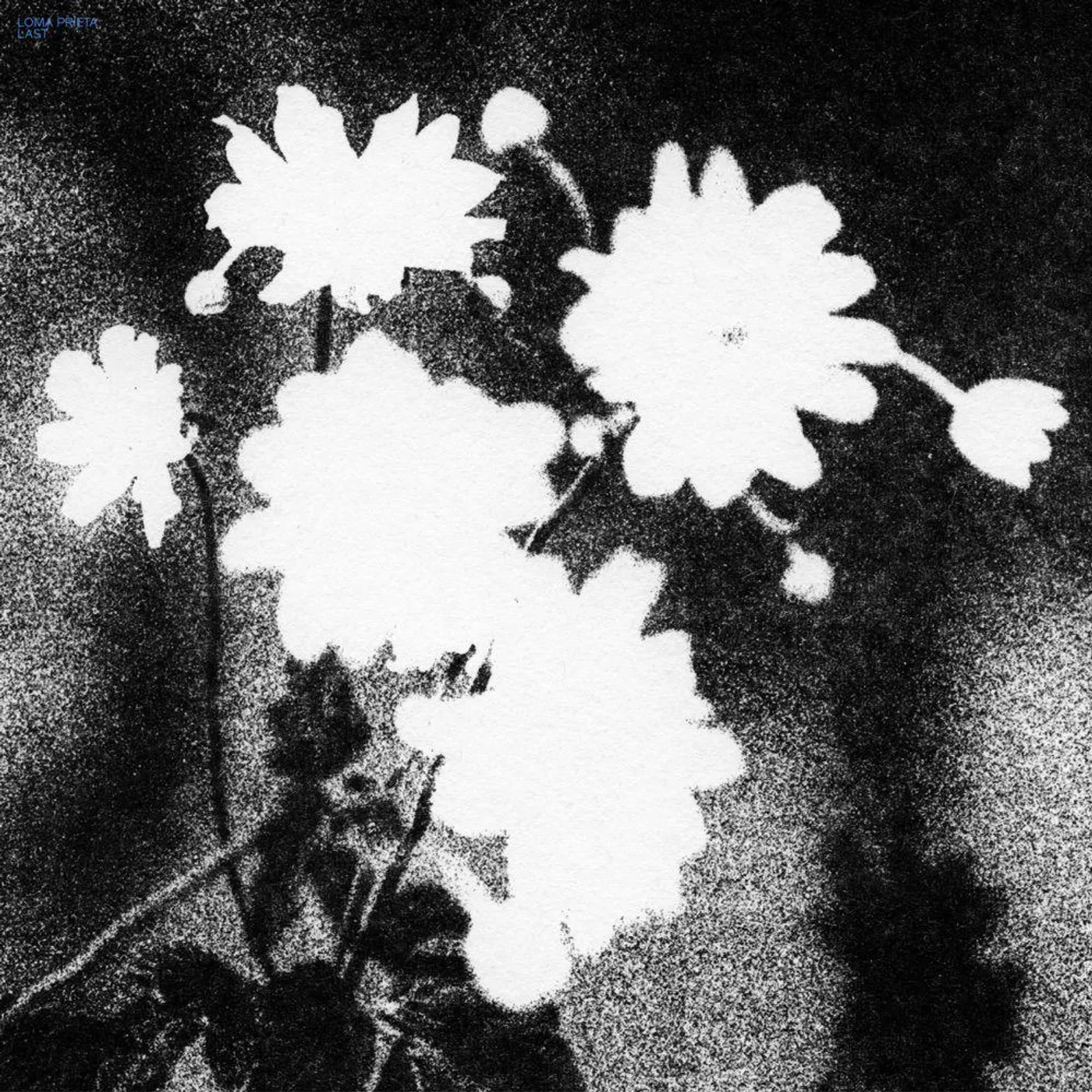 Loma Prieta  Last (Black, White) Vinyl Record