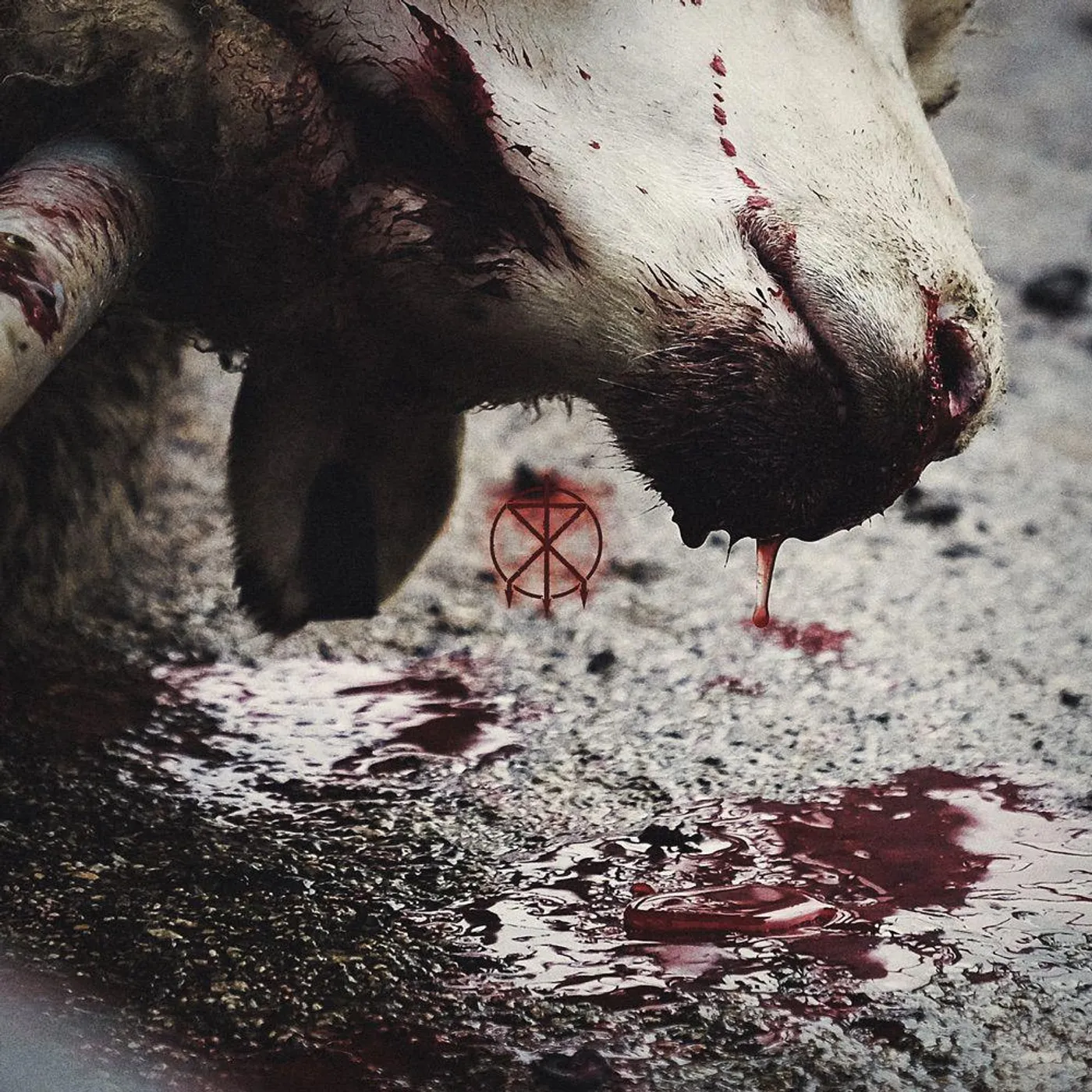 To The Grave Director's Cuts (Limited Edition Blood Splatter) Vinyl Record