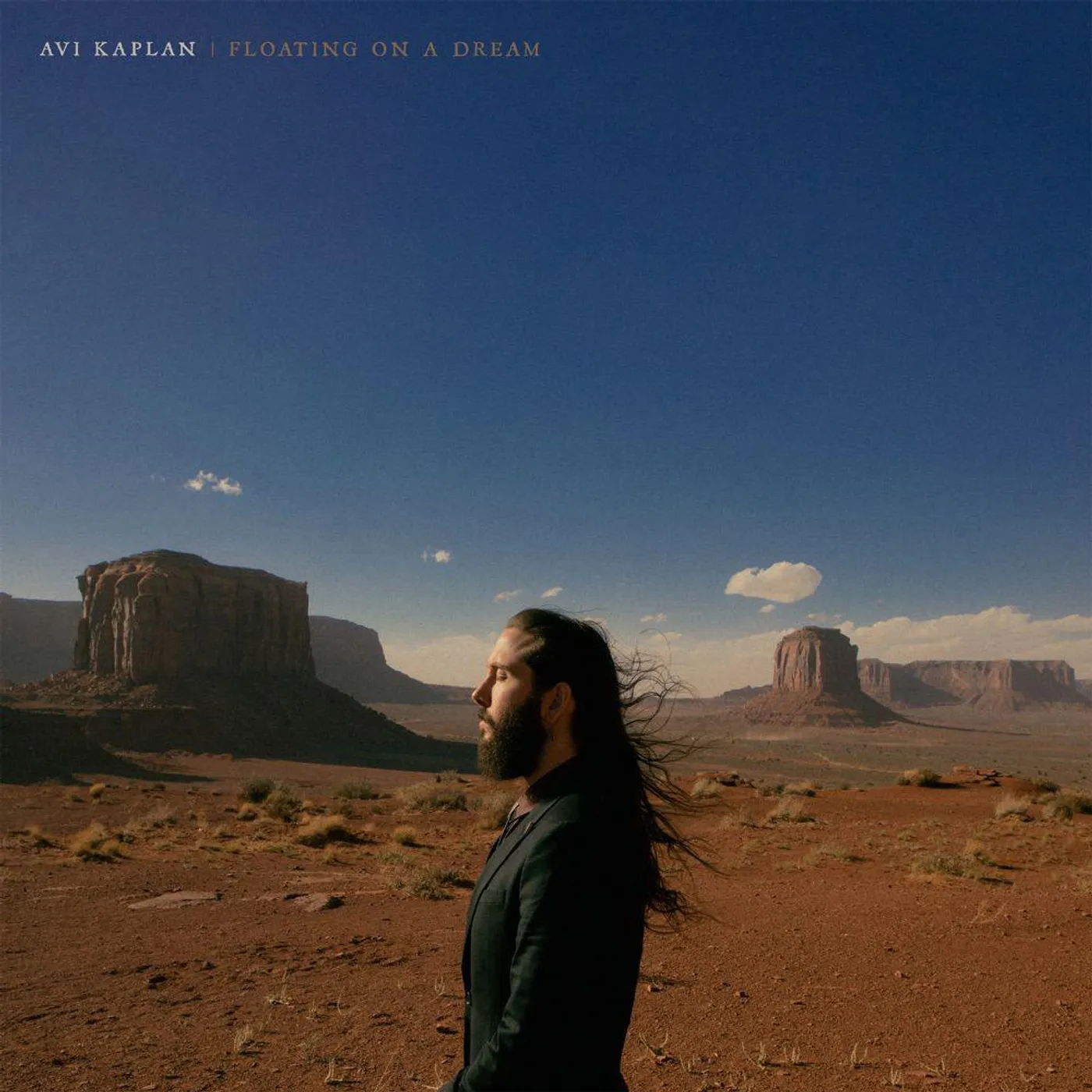 Avi Kaplan Floating On A Dream (Limited Edition/180g/Black Ice) Vinyl Record