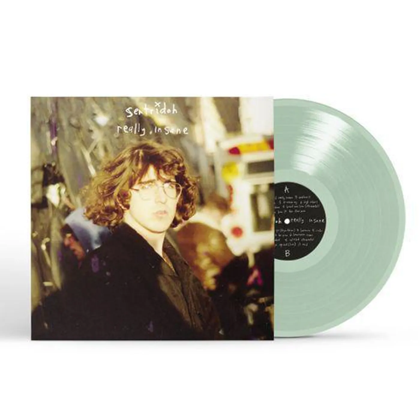 Sentridoh Really Insane : A Lou Barlow Compendium (Remastered) Vinyl Record 