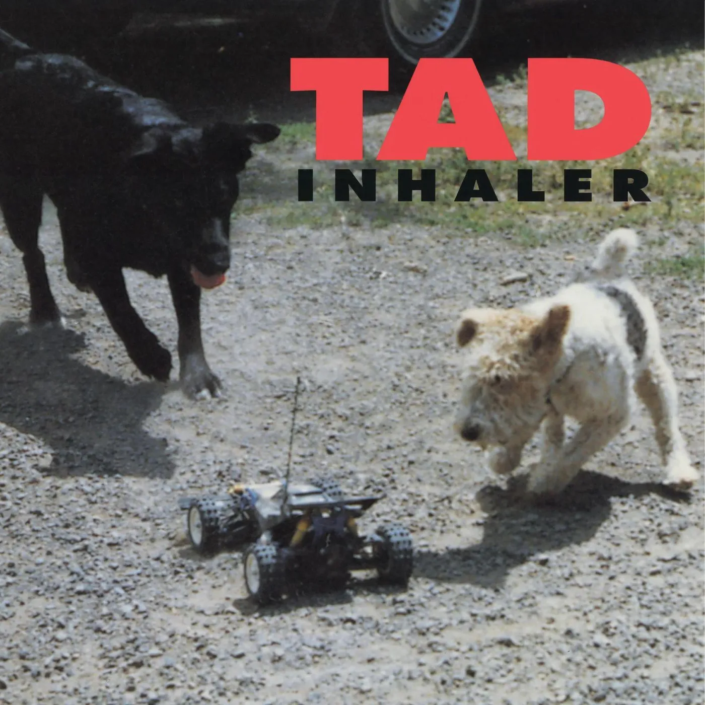 Tad Inhaler (180 gram) Vinyl Record