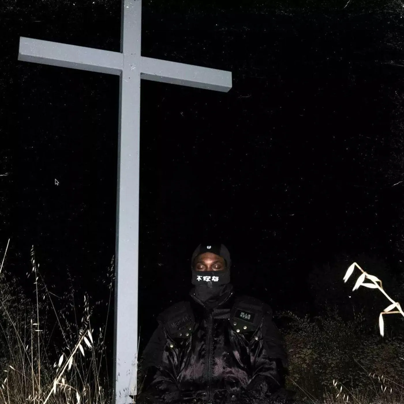 JPEGMAFIA I Lay Down My Life For You Vinyl Record