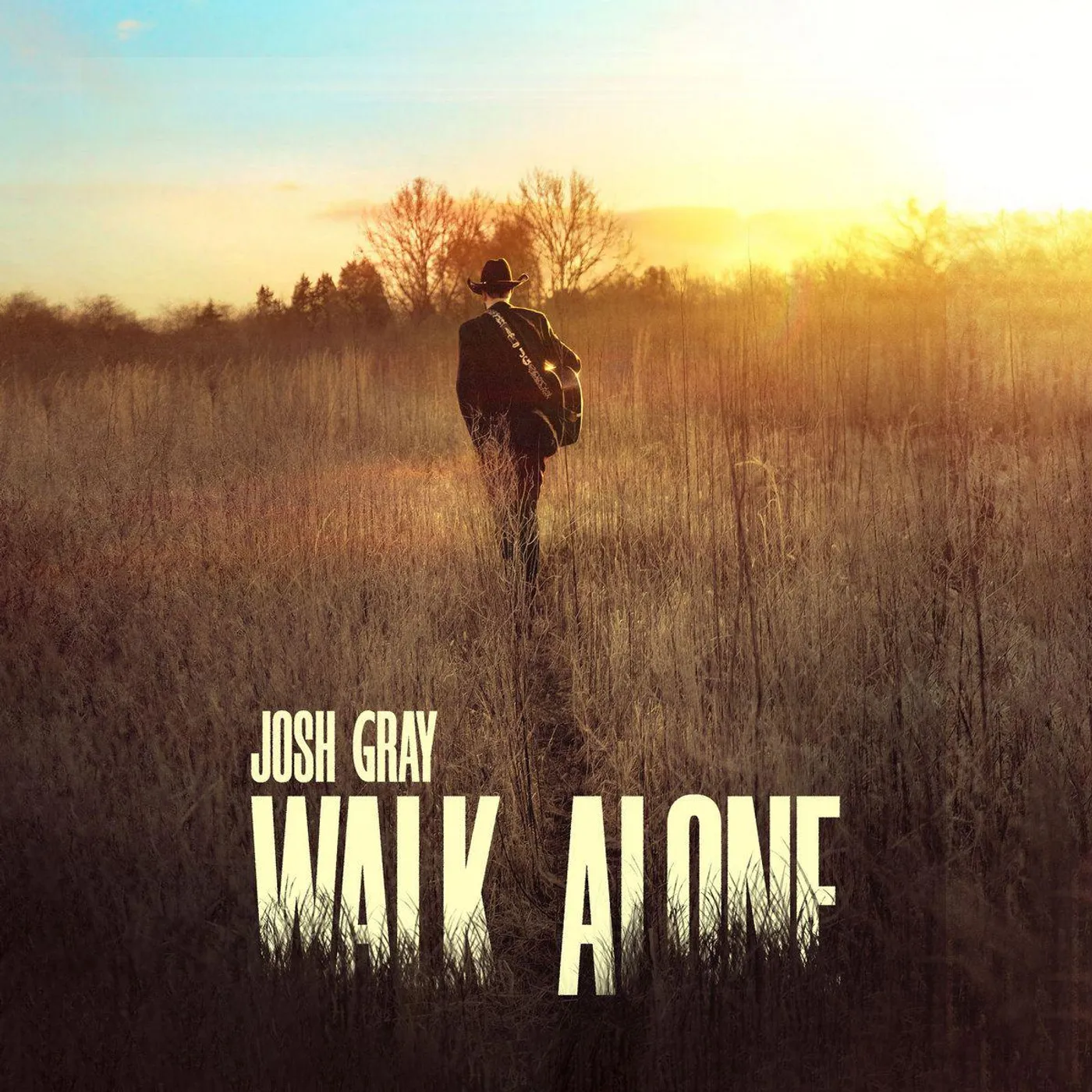 Josh Gray Walk Alone Vinyl Record