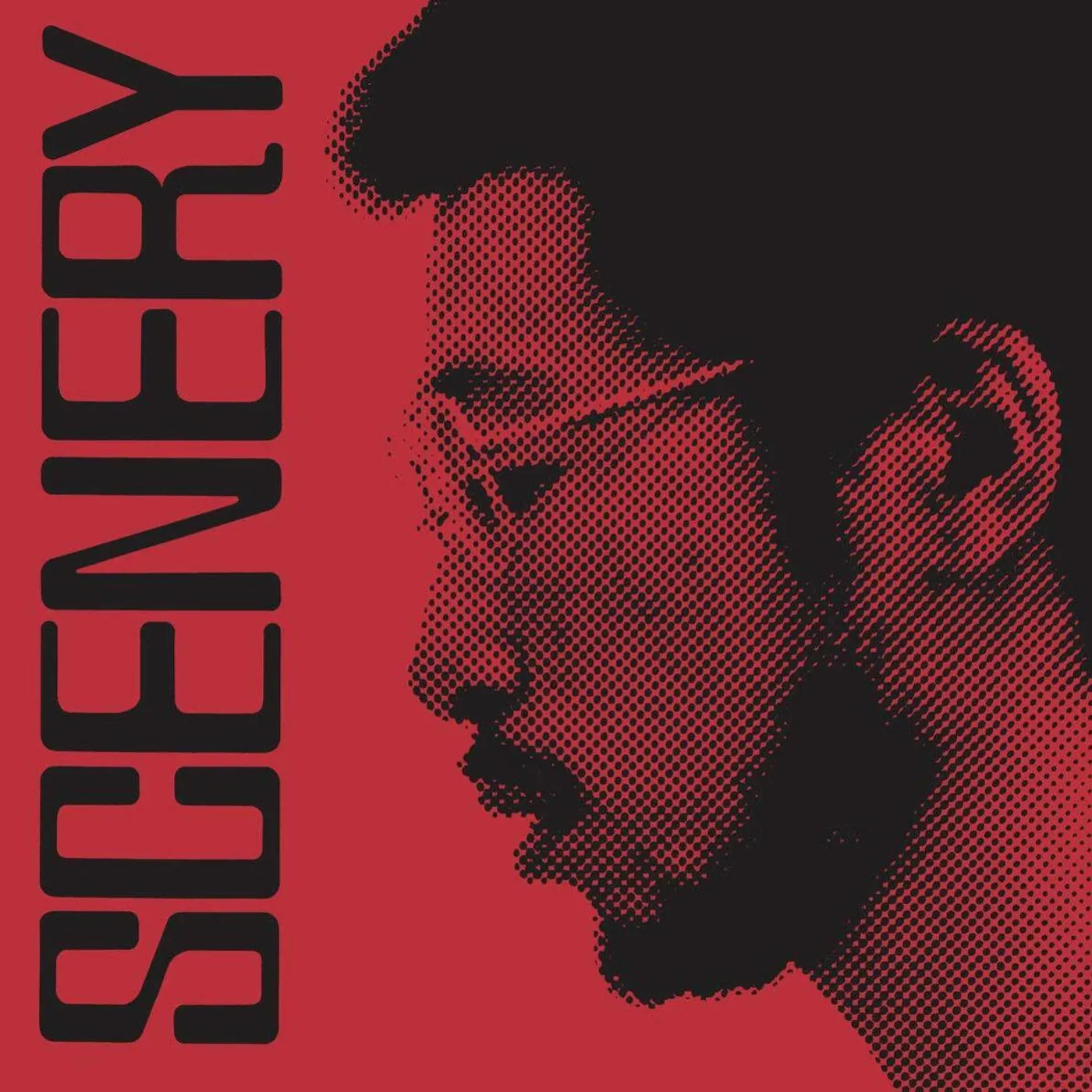 Ryo Fukui Scenery Vinyl Record