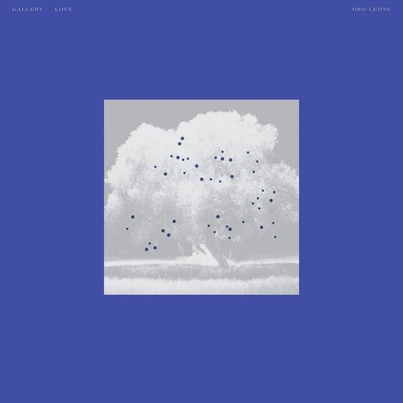 oso leone Gallery Love Vinyl Record