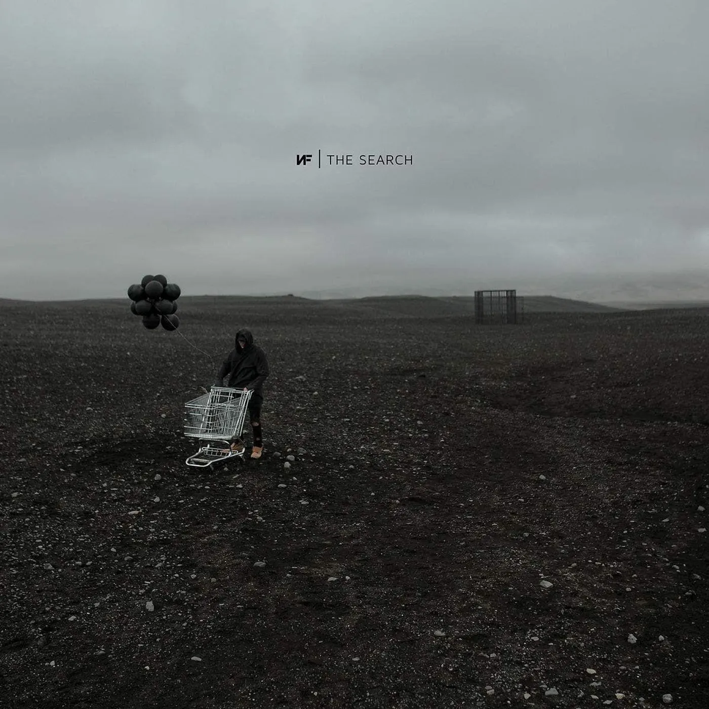 NF The Search Vinyl Record