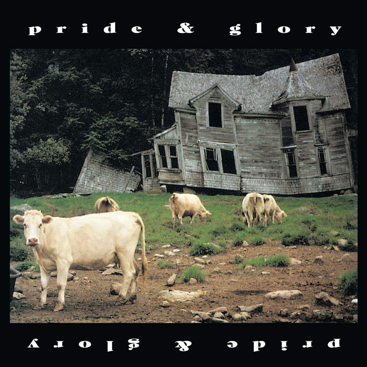  Pride & Glory (Picture Disc) Vinyl Record