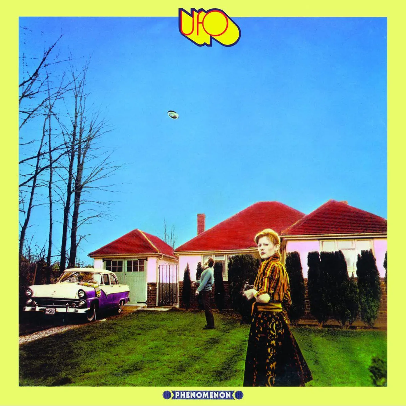 UFO Phenomenon (2LP) Vinyl Record
