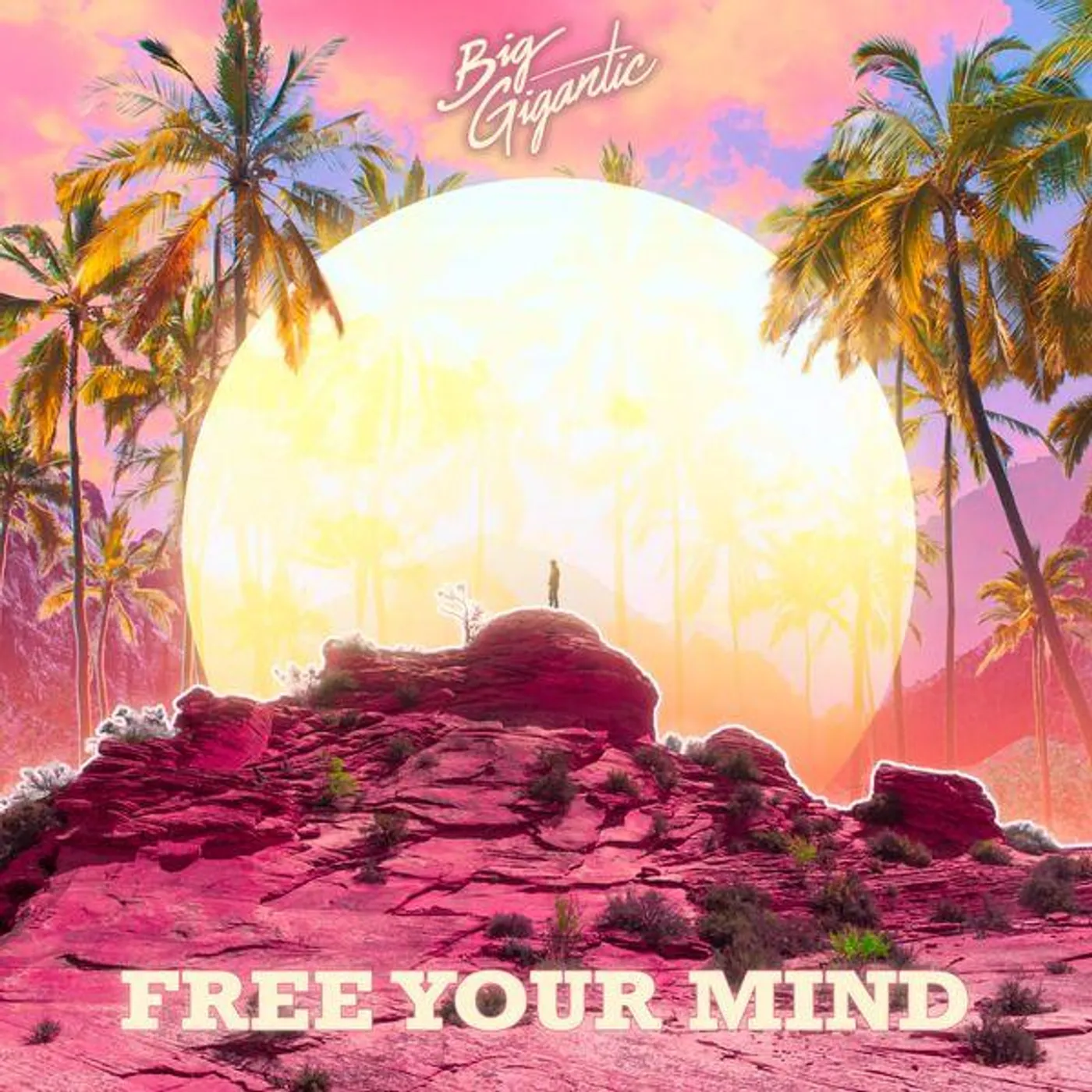 Big Gigantic FREE YOUR MIND (2LP/140G/COLOR VINYL/6 MM SPINE/DL CARD) Vinyl Record
