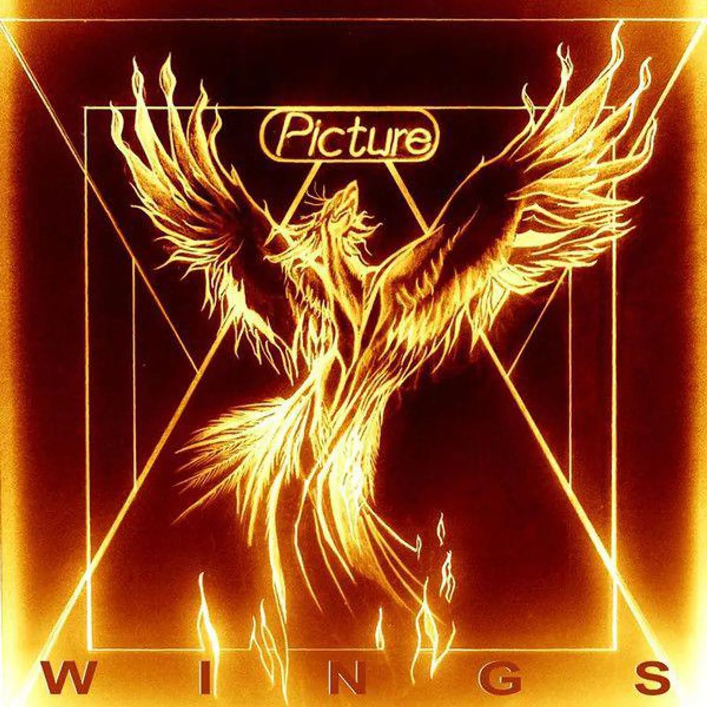 Picture Wings Vinyl Record
