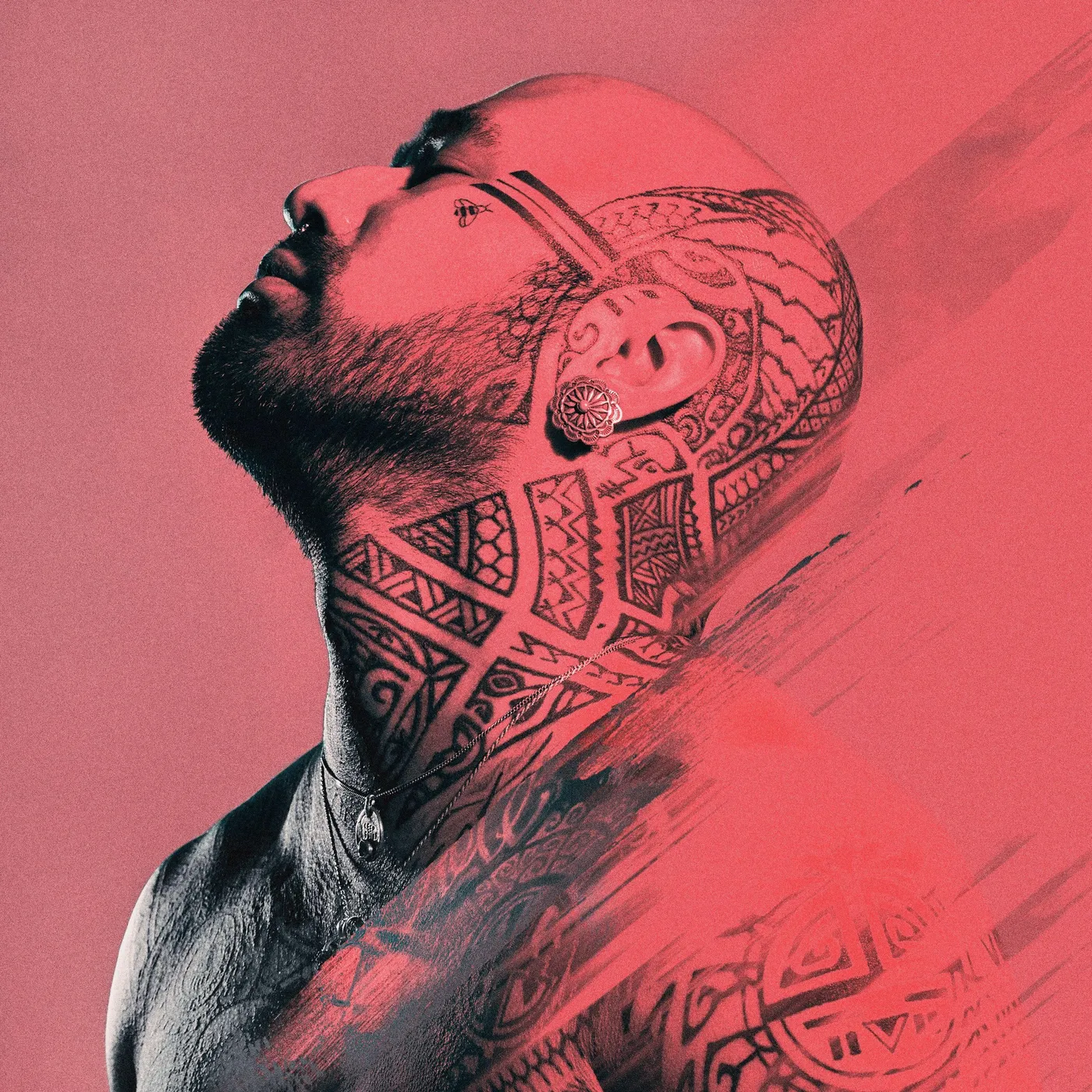 Nahko And Medicine For The People TAKE YOUR POWER BACK CD