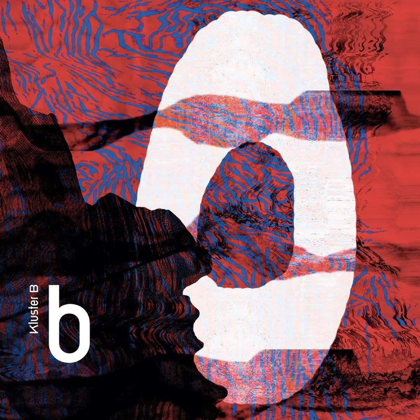 Kluster B b Vinyl Record