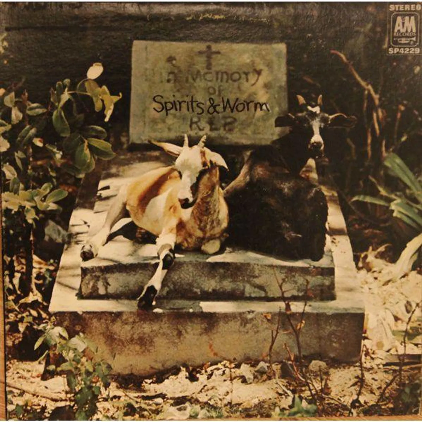 Spirits & Worm Spirits And Worm Vinyl Record