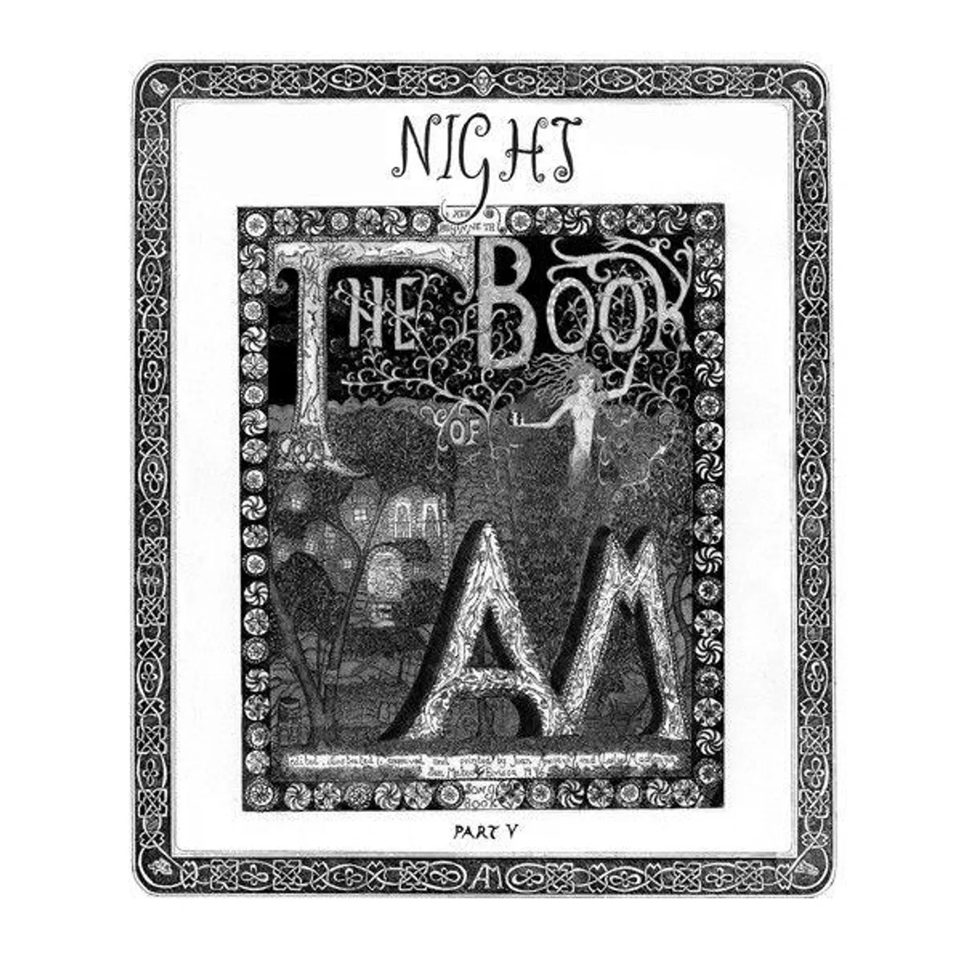 Book Of Am PART V: NIGHT Vinyl Record