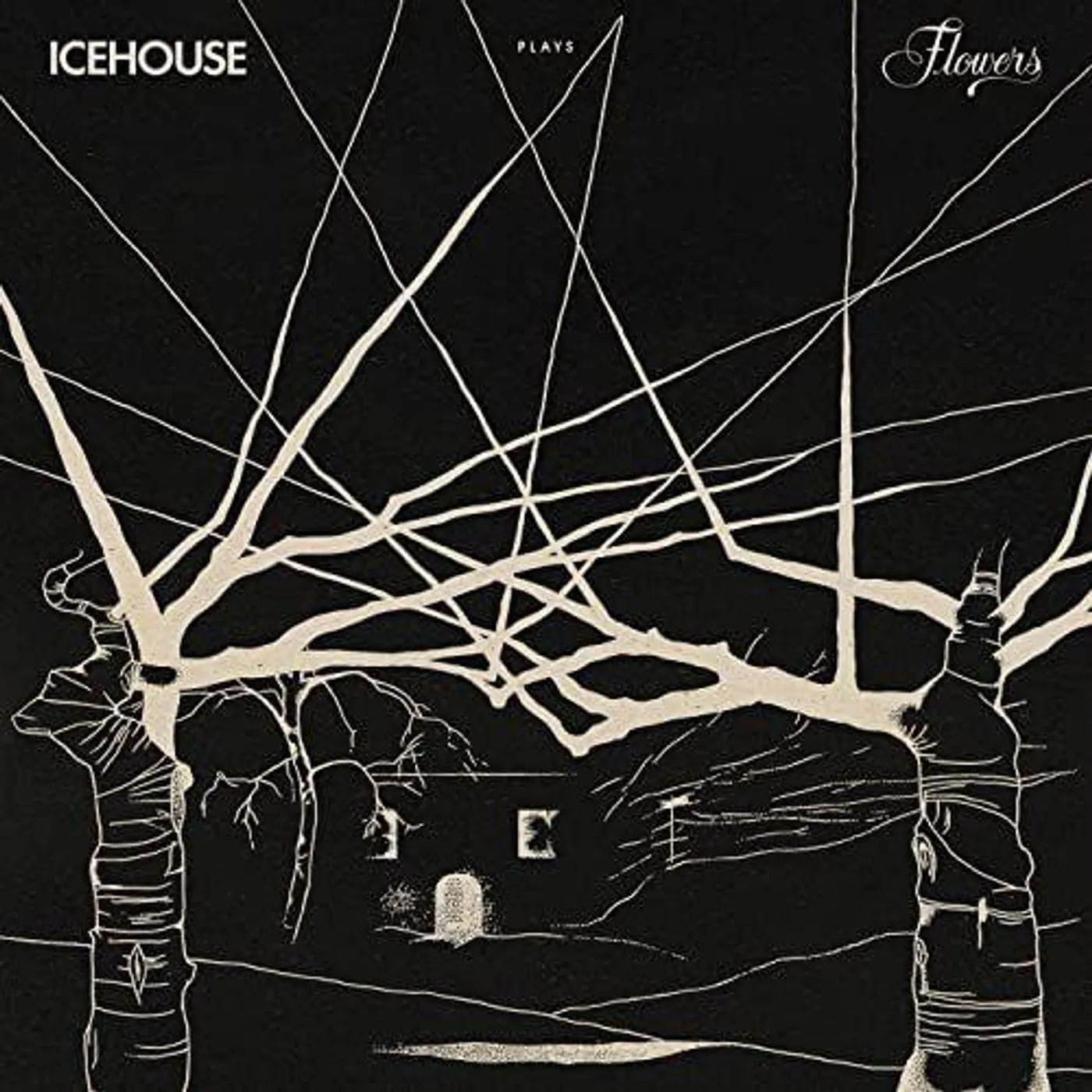 ICEHOUSE PLAYS FLOWERS: LIVE CD