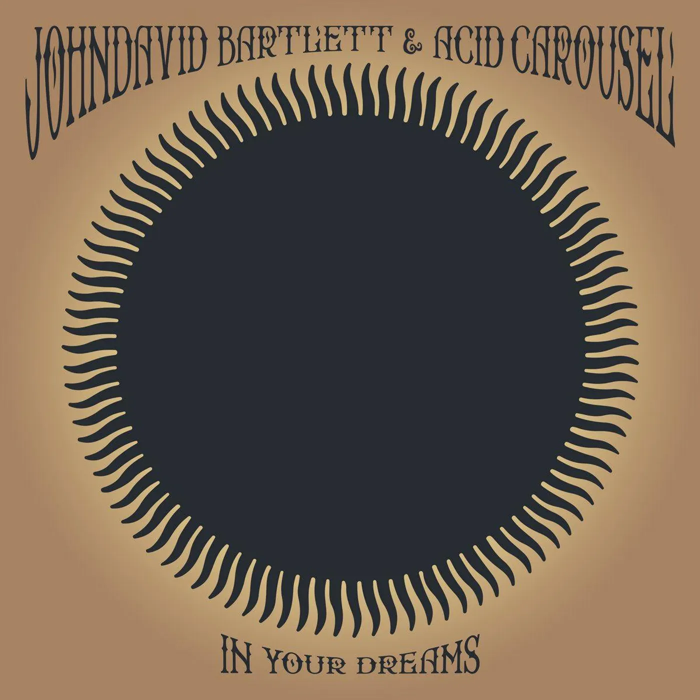 Johndavid Bartelett IN YOUR DREAMS Vinyl Record