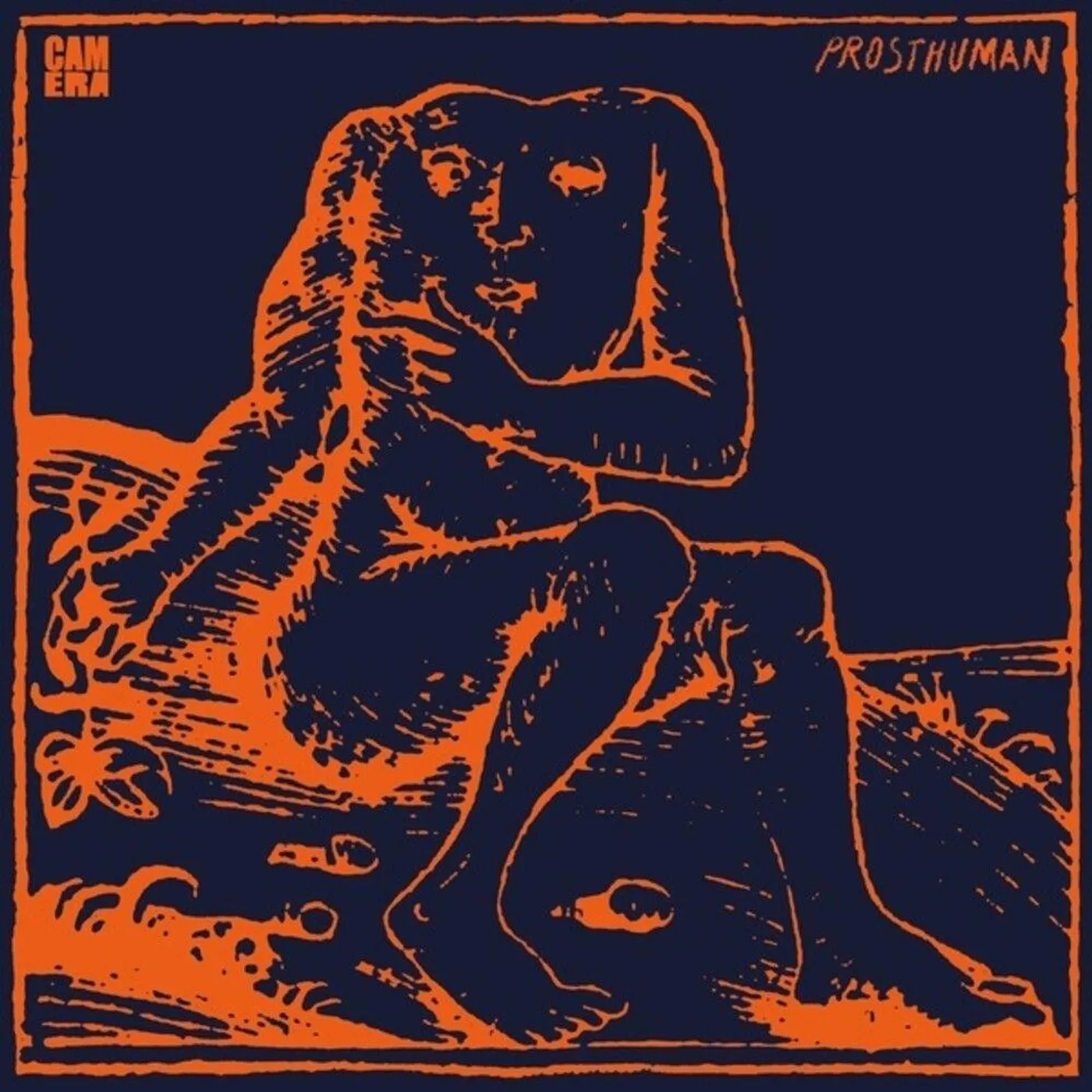 Camera PROSTHUMAN CD