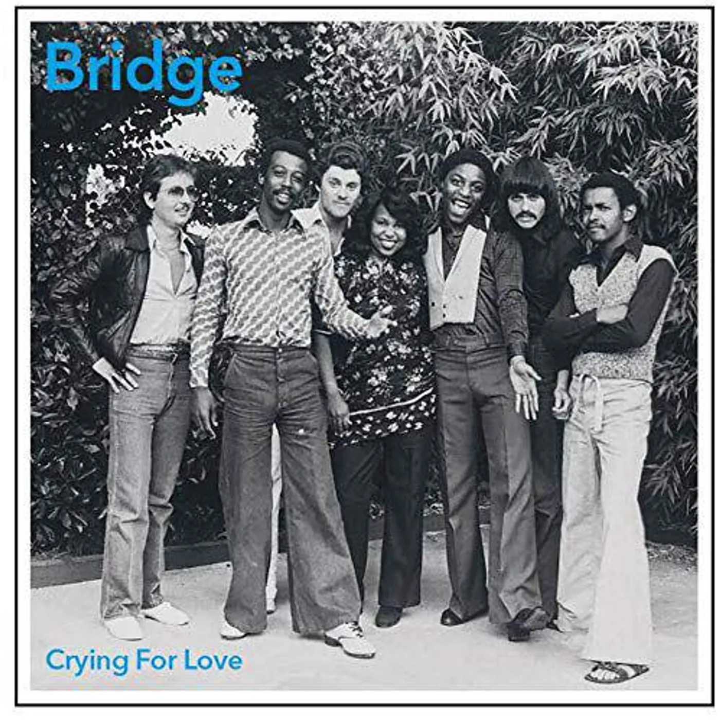 Bridge Crying For Love Vinyl Record
