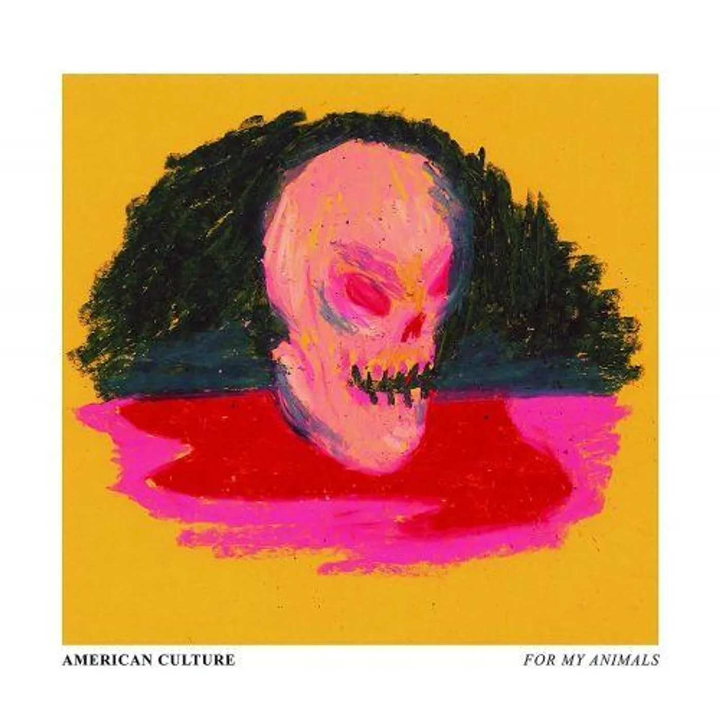 American Culture For My Animals Vinyl Record