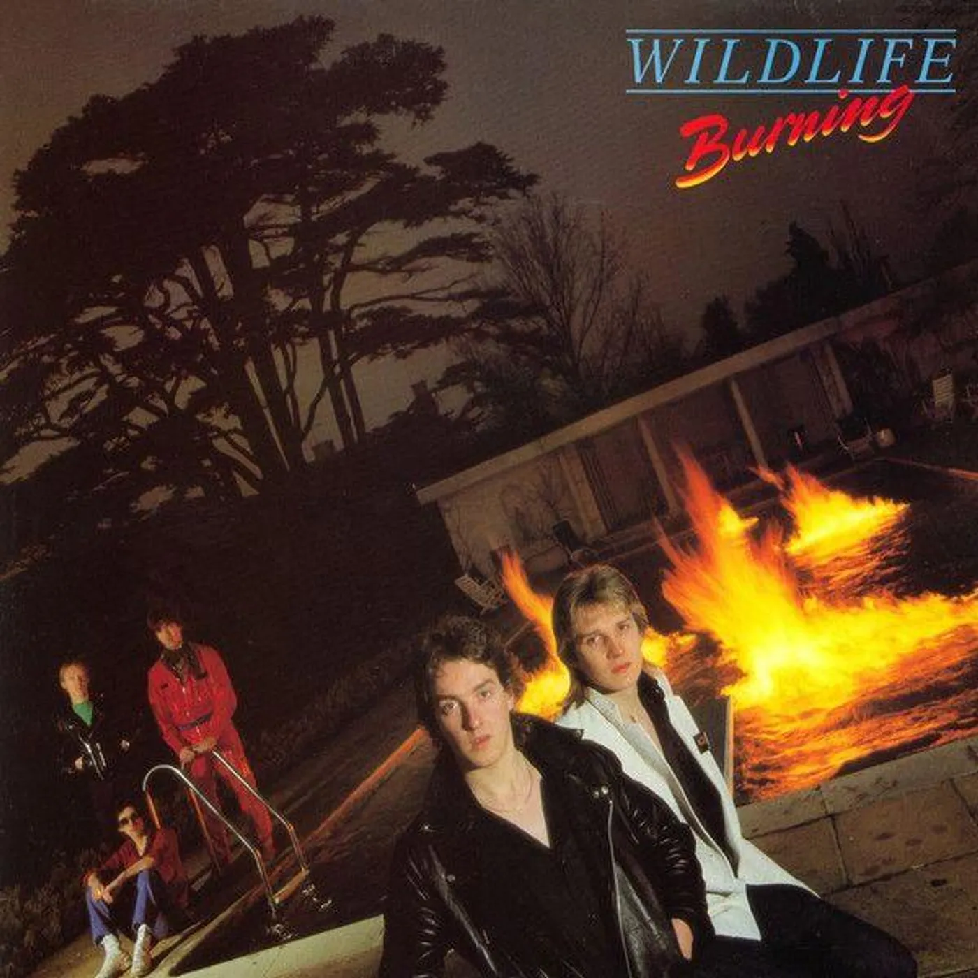 Wildlife BURNING CD