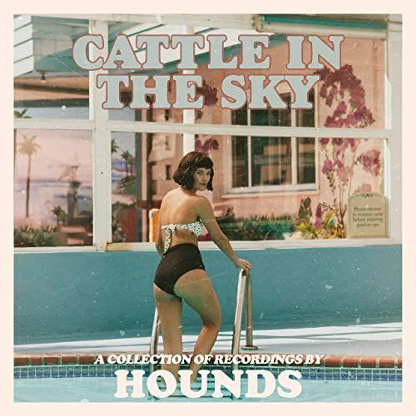 HOUNDS CATTLE IN THE SKY CD