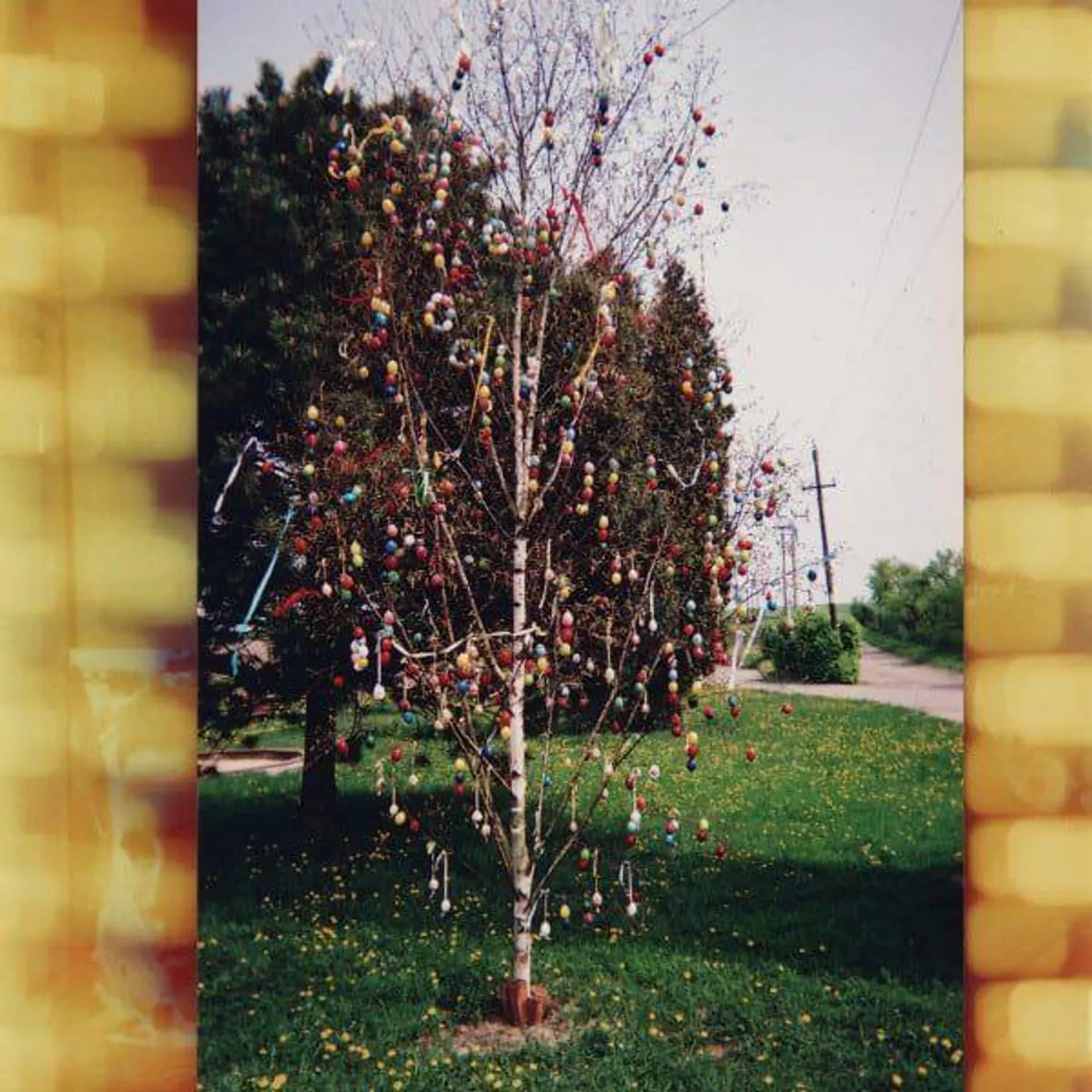 Kraus GOLDEN BRAIN Vinyl Record