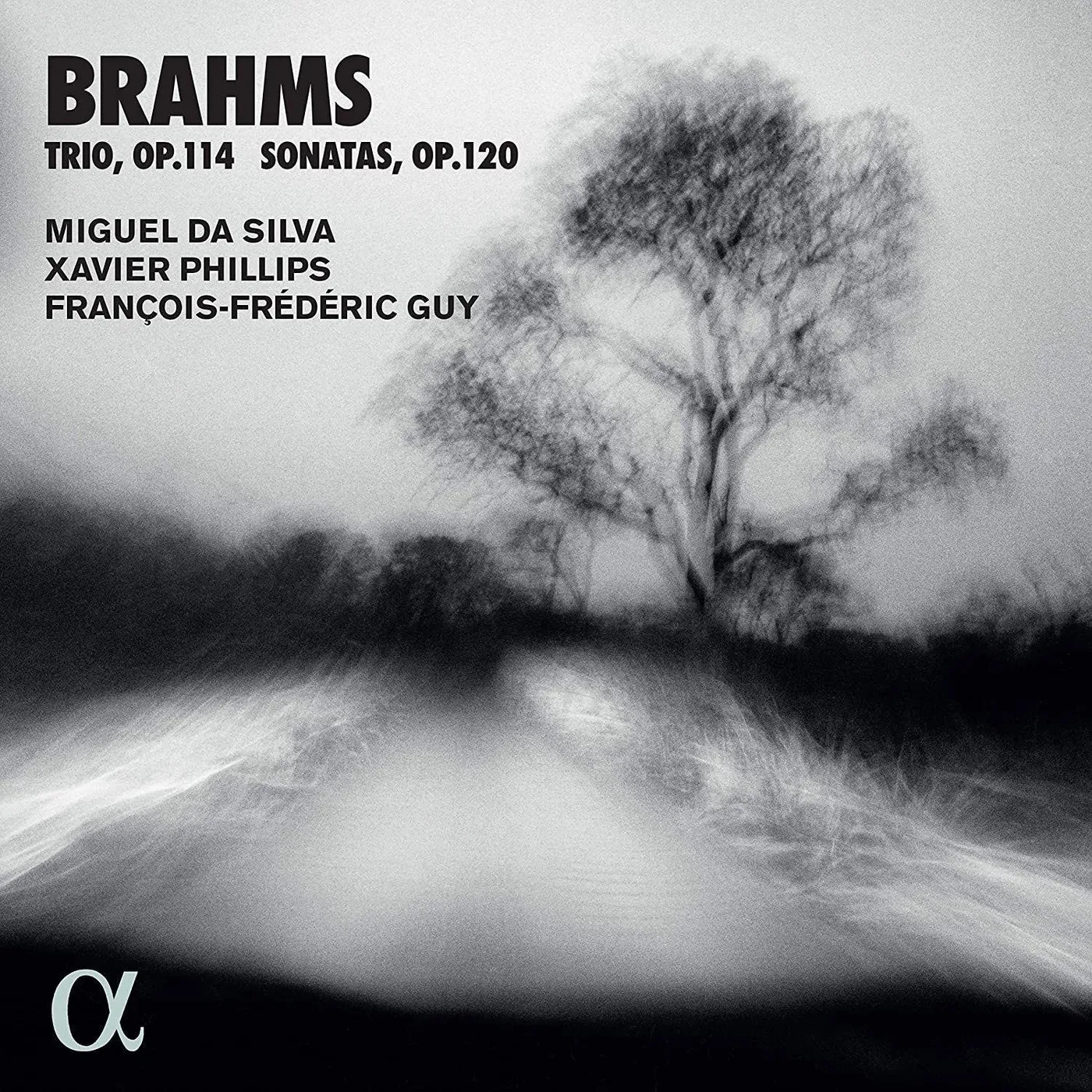 BRAHMS / SILVA / GUY TRIO 114 / SONATAS CD