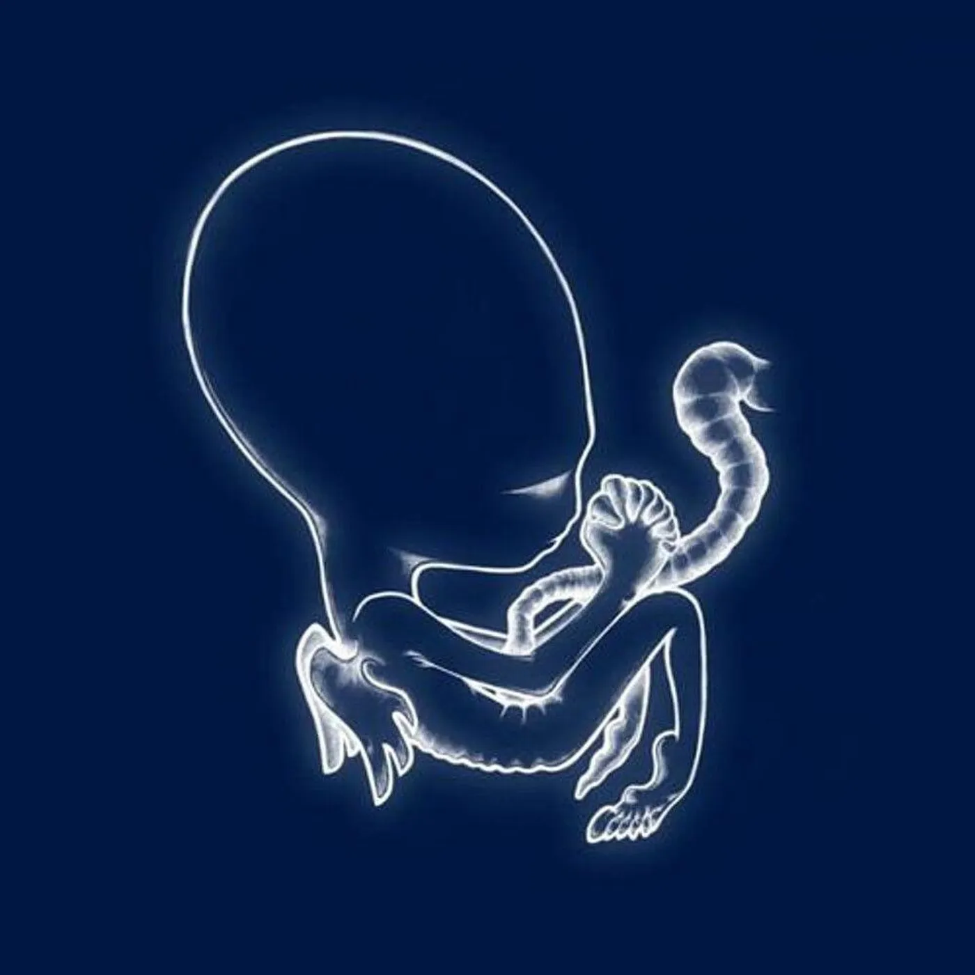 Sigur Rós AGAETIS BYRJUN Vinyl Record