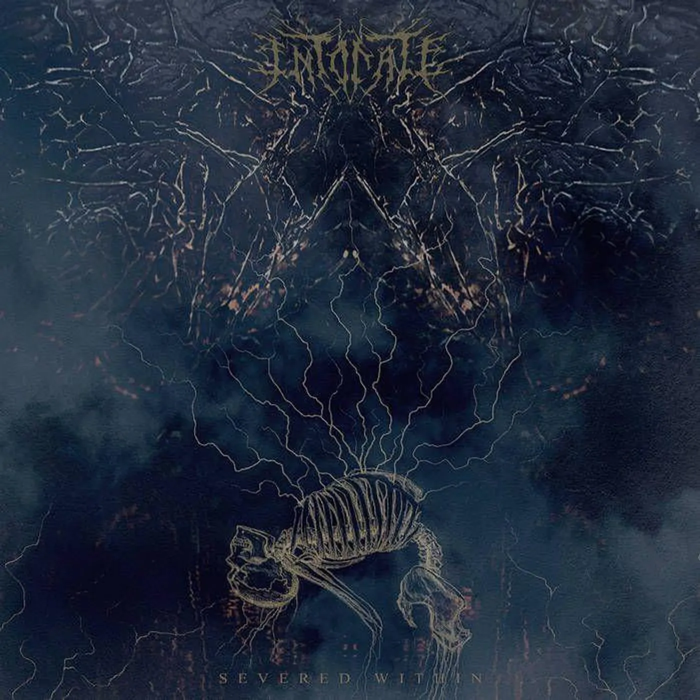 Intonate Severed Within Vinyl Record