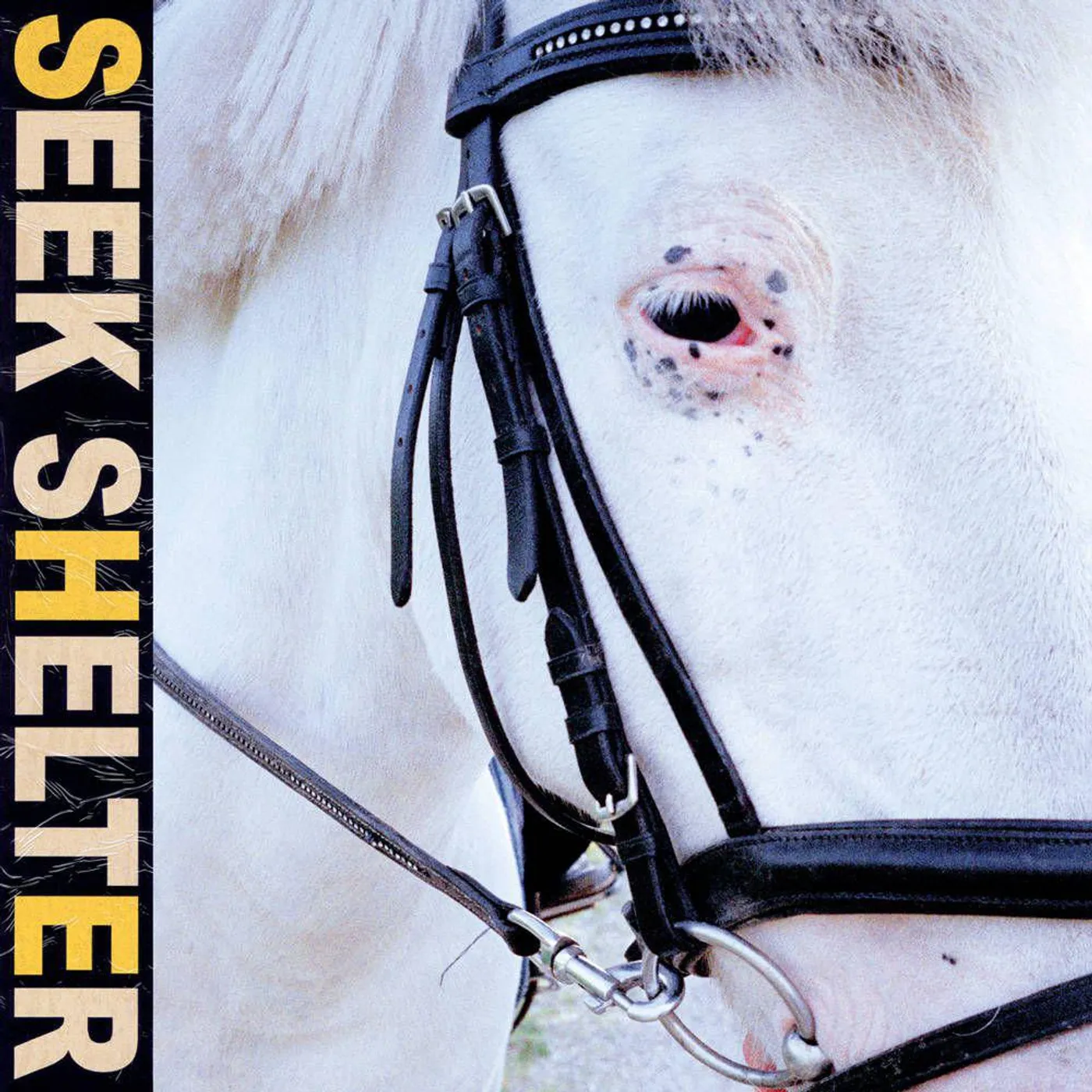 Iceage SEEK SHELTER CD