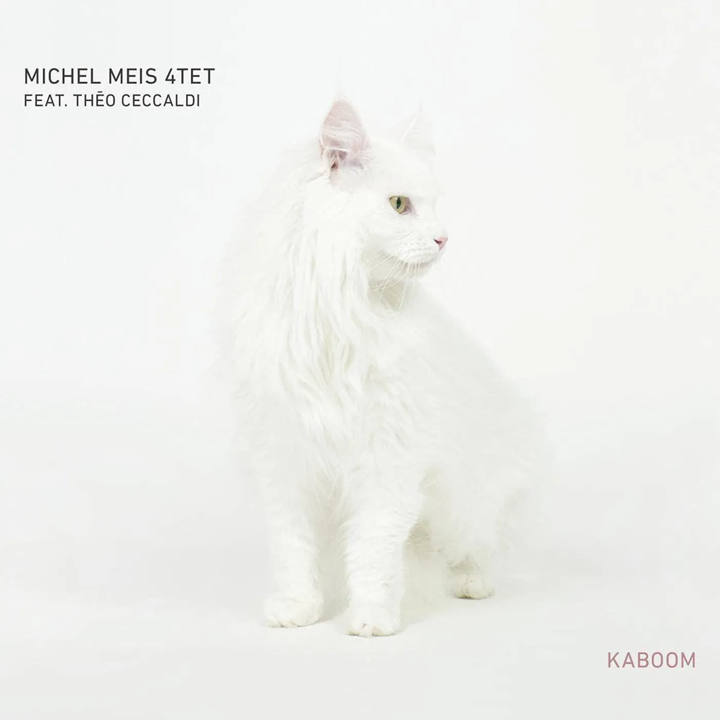Michel Meis 4tet KABOOM CD