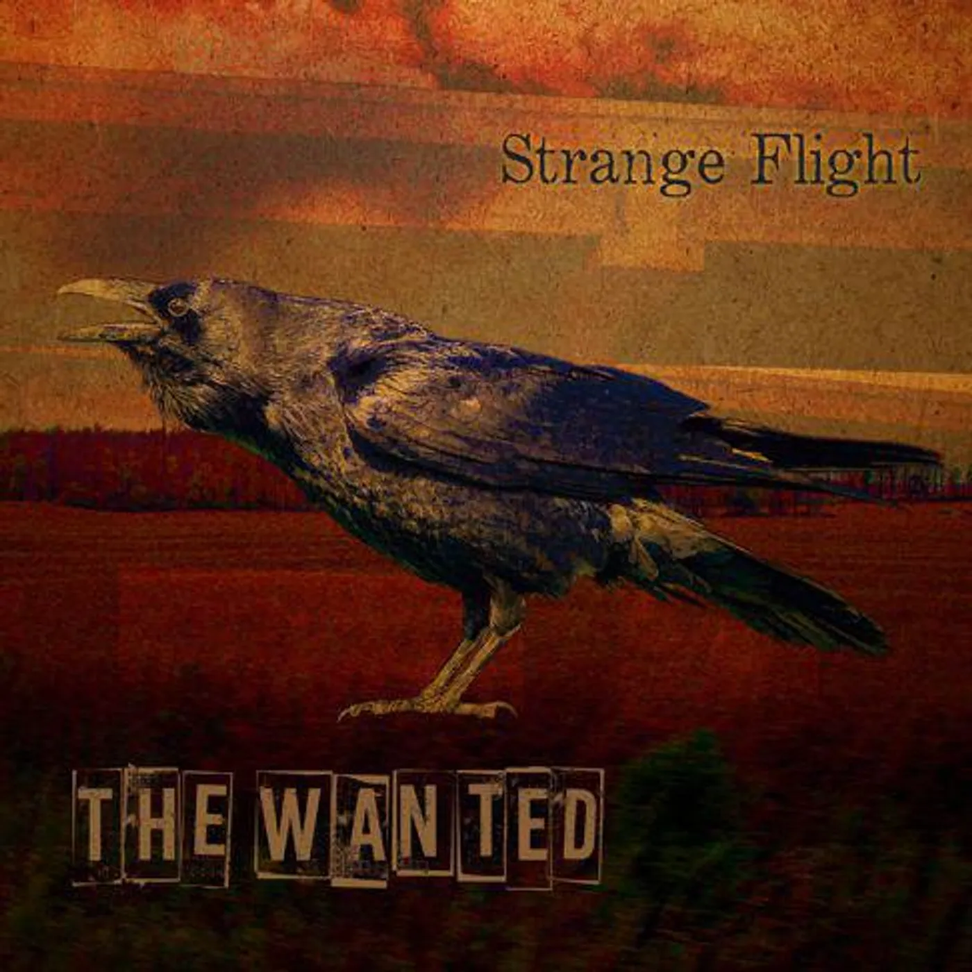 The Wanted STRANGE FLIGHT CD