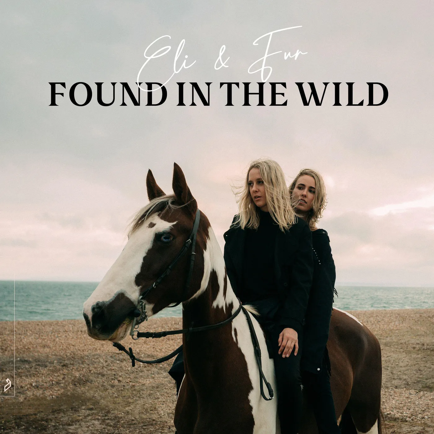 Eli & Fur FOUND IN THE WILD (2LP) Vinyl Record