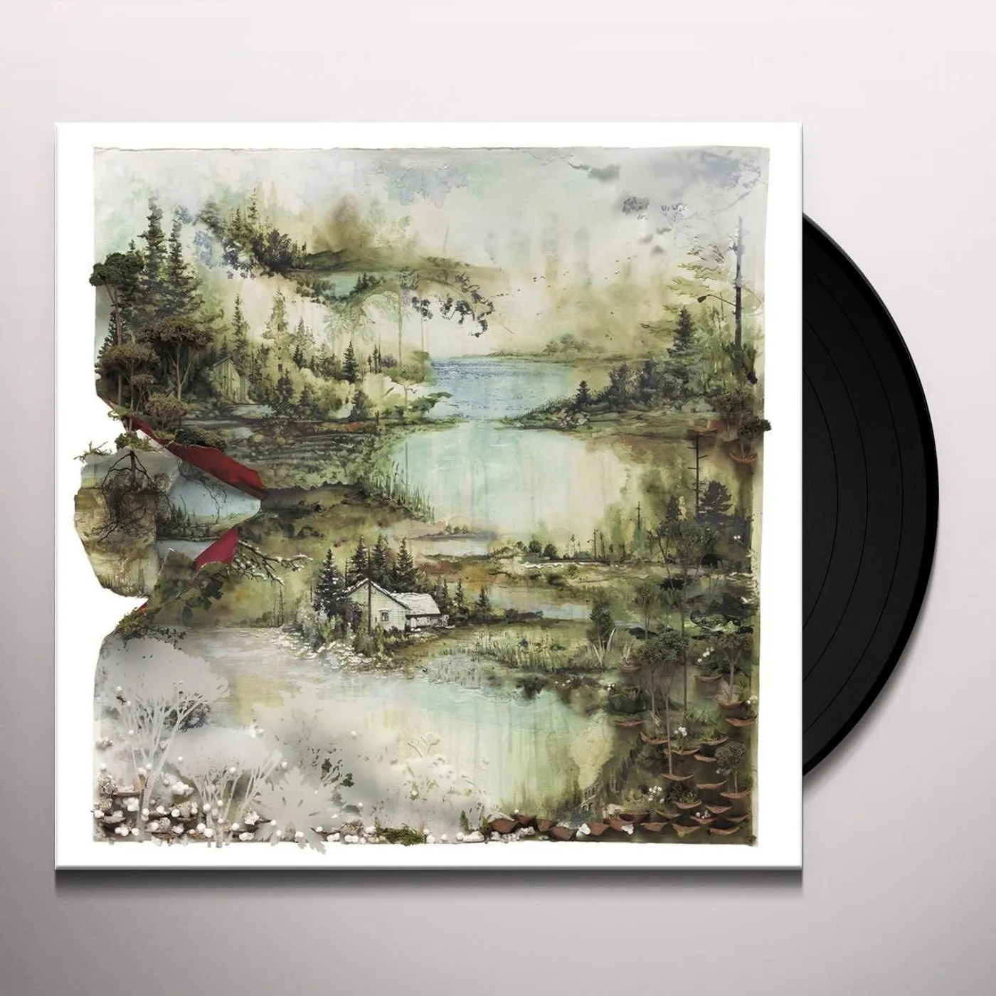  Bon Iver Vinyl Record
