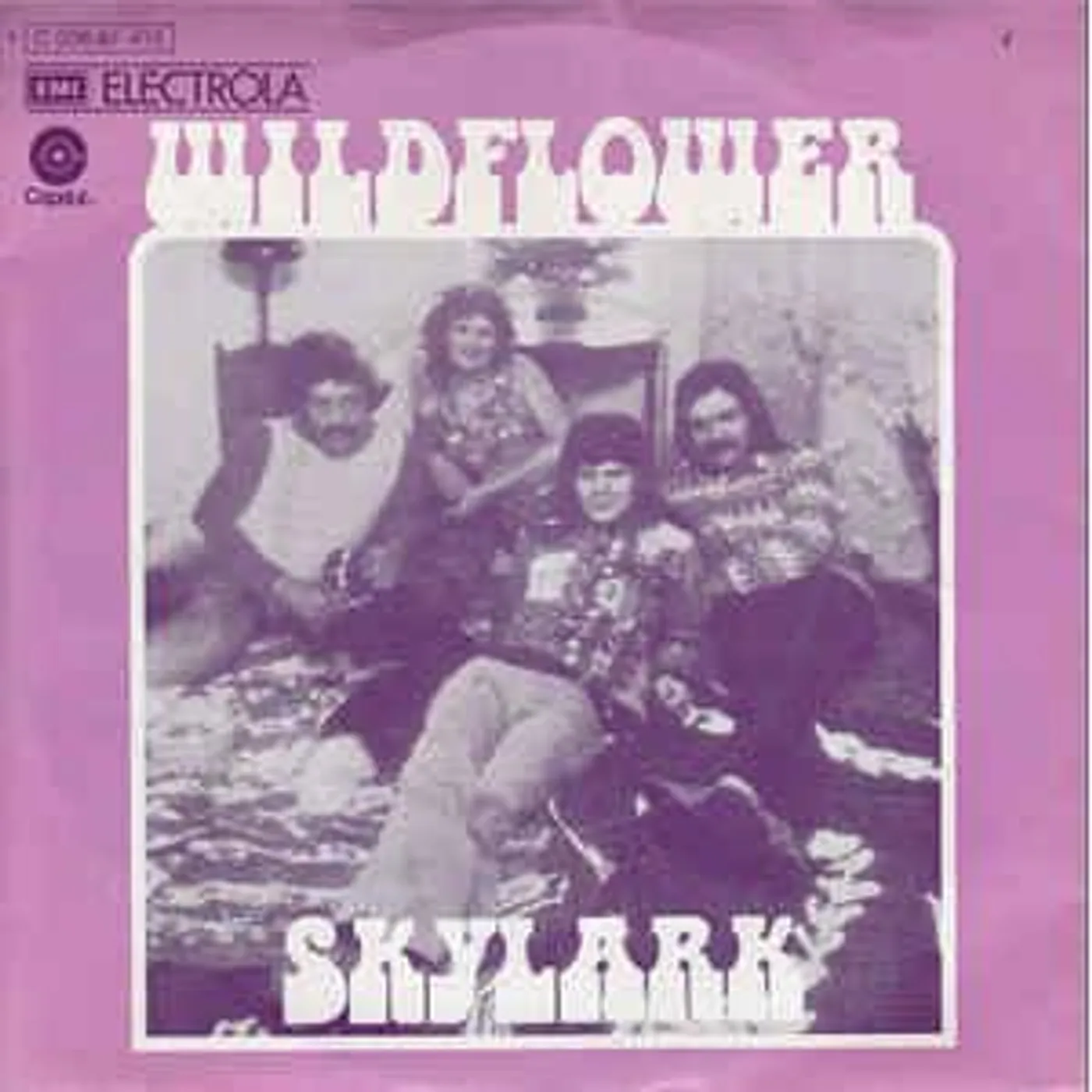 Skylark Wildflower CD David Foster 1996年