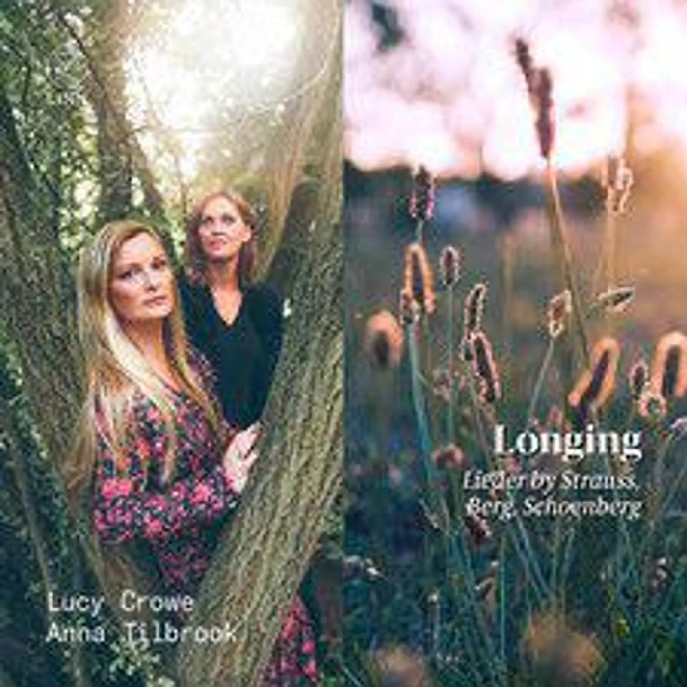 BERG / CROWE / TILBROOK LONGING CD