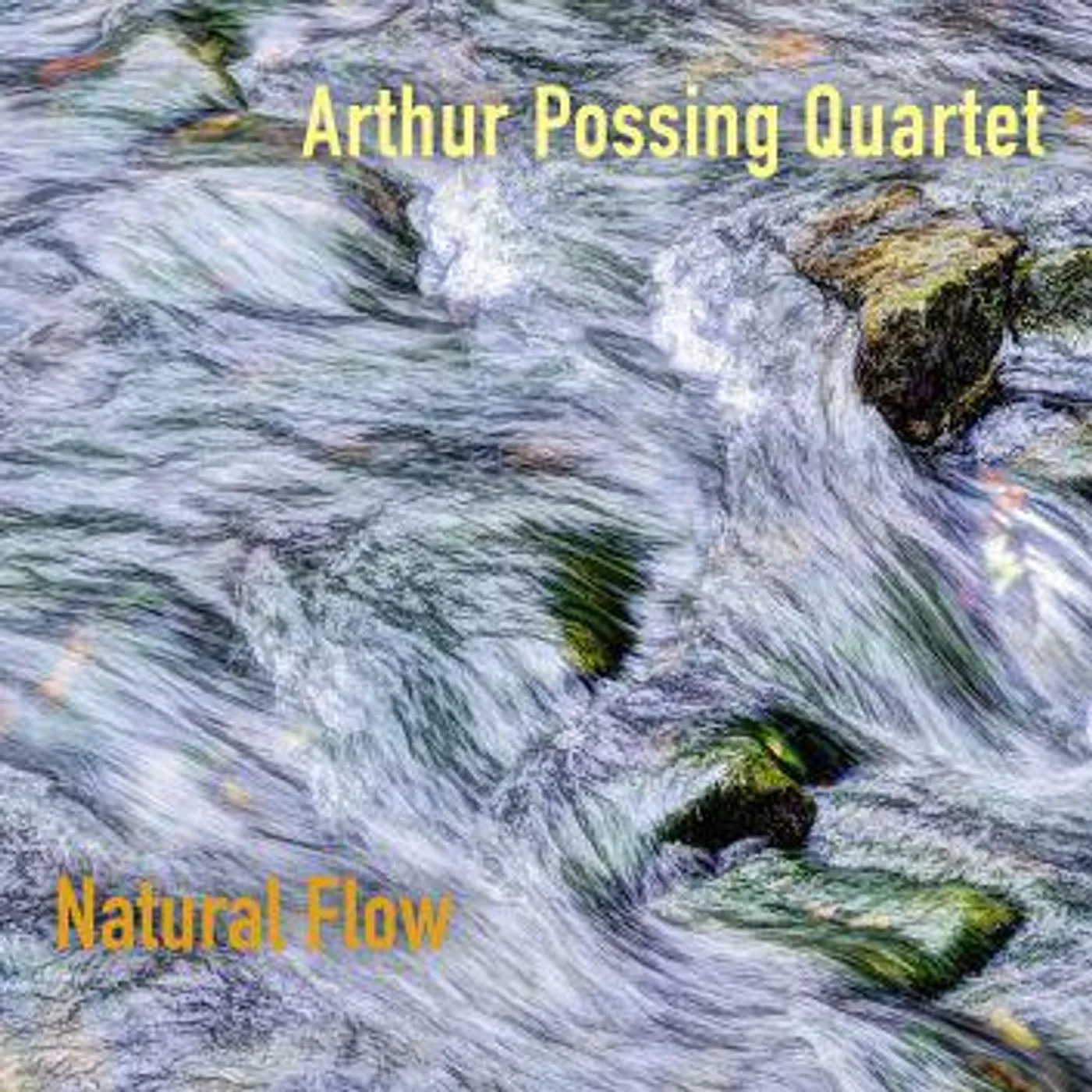 Arthur Possing Quartet NATURAL FLOW CD