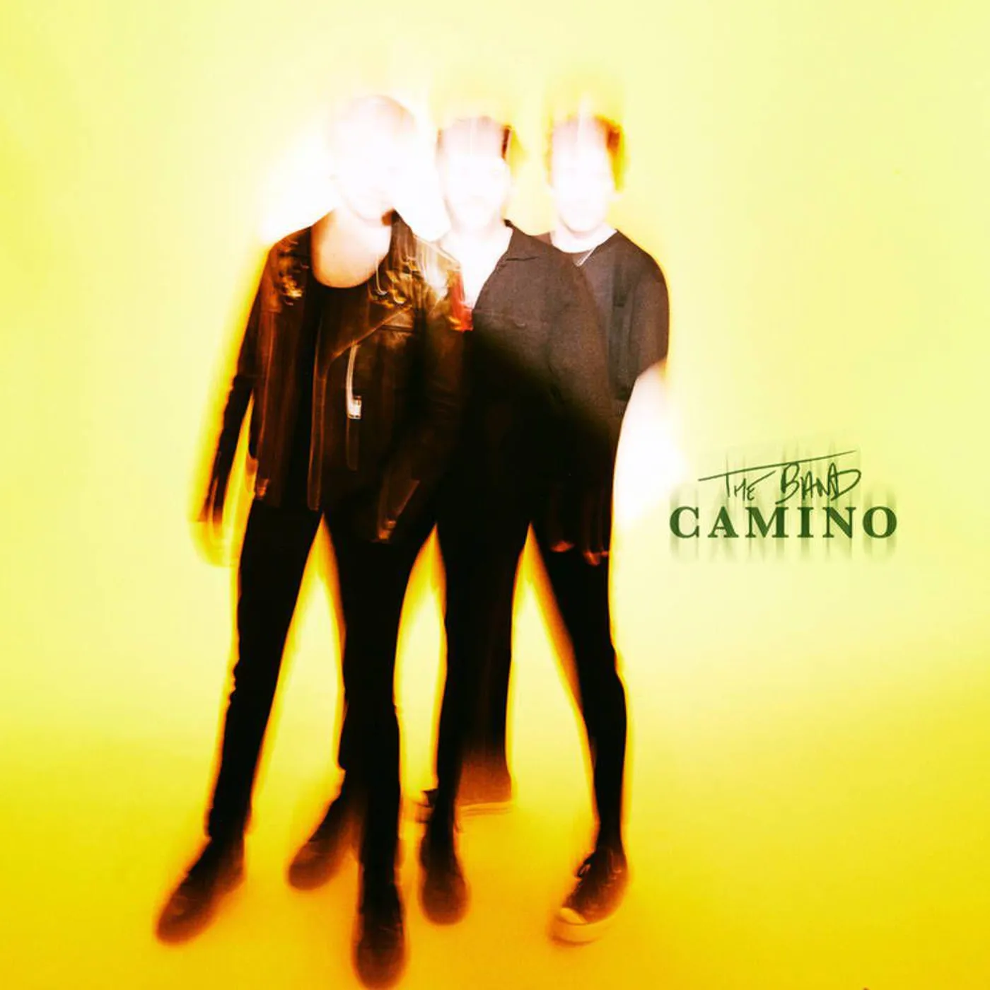 The Band CAMINO Vinyl Record