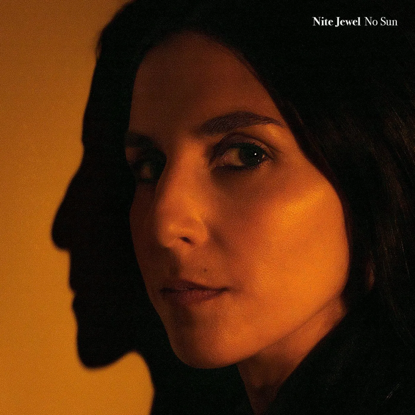 Nite Jewel No Sun Vinyl Record