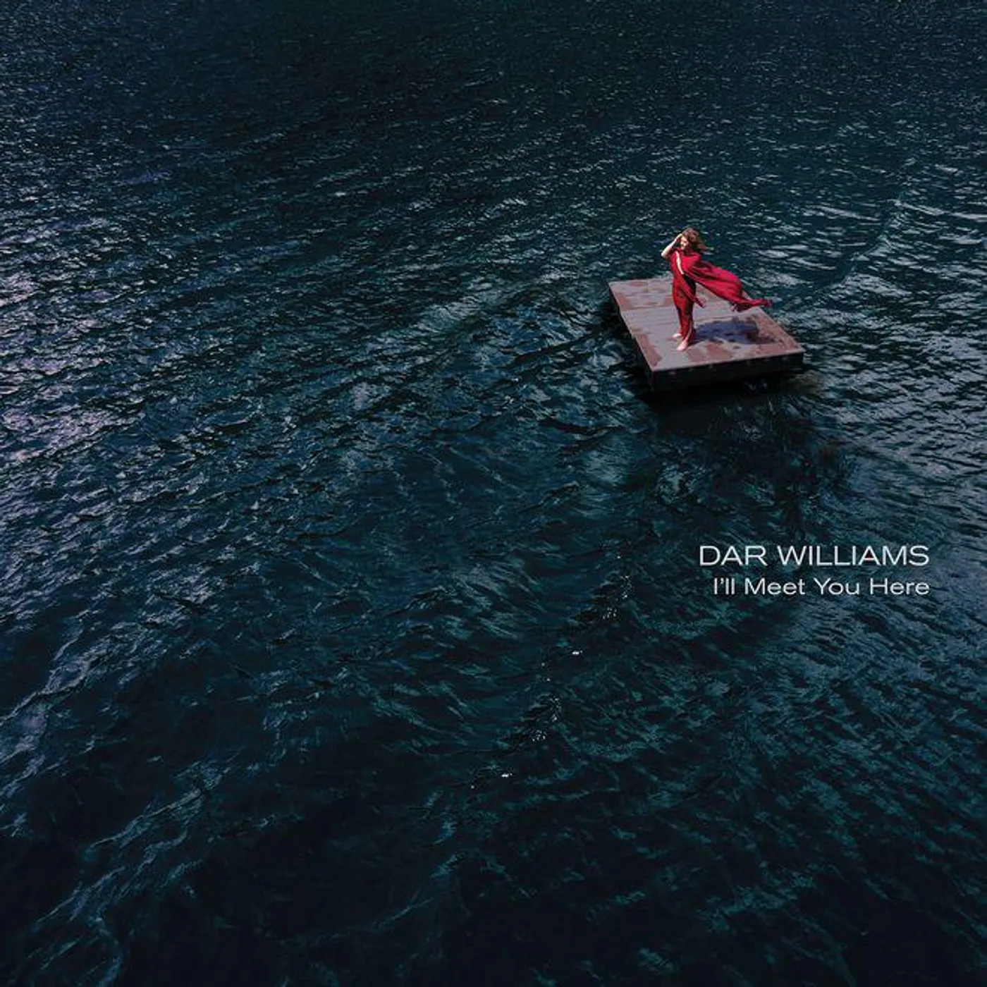 Dar Williams I'LL MEET YOU HERE CD