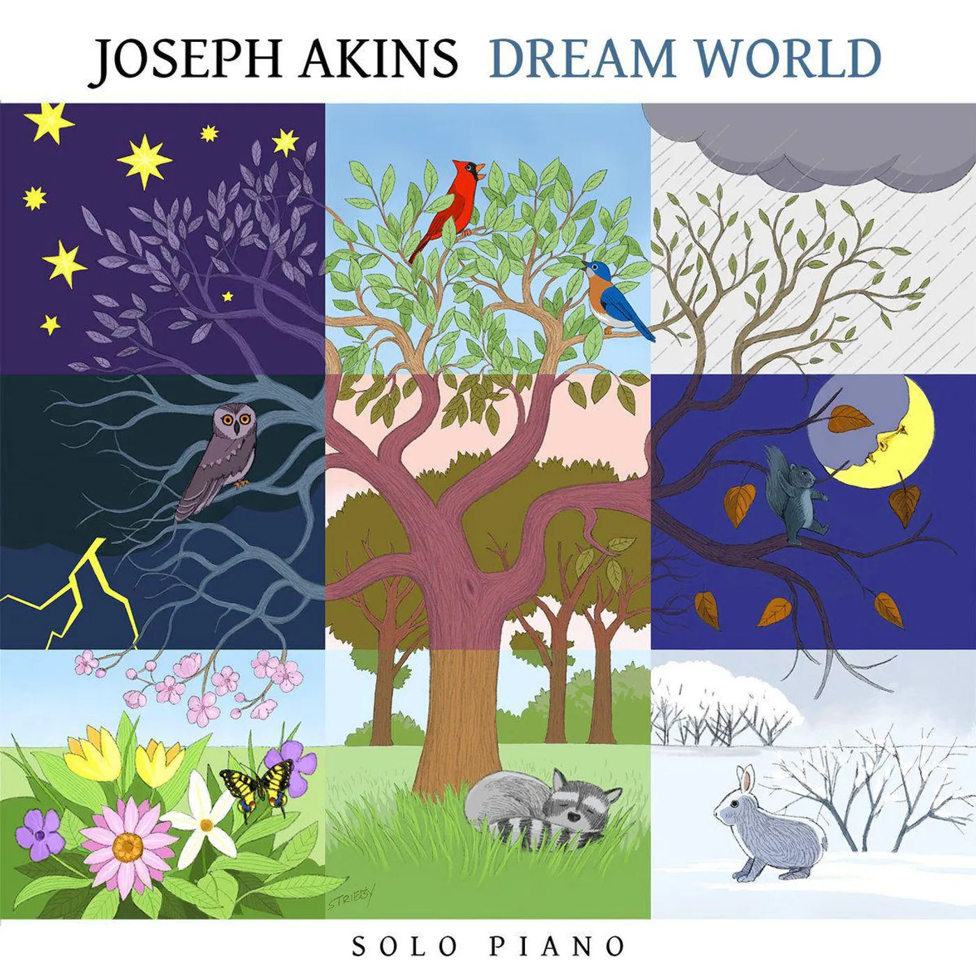 Joseph Akins DREAM WORLD CD