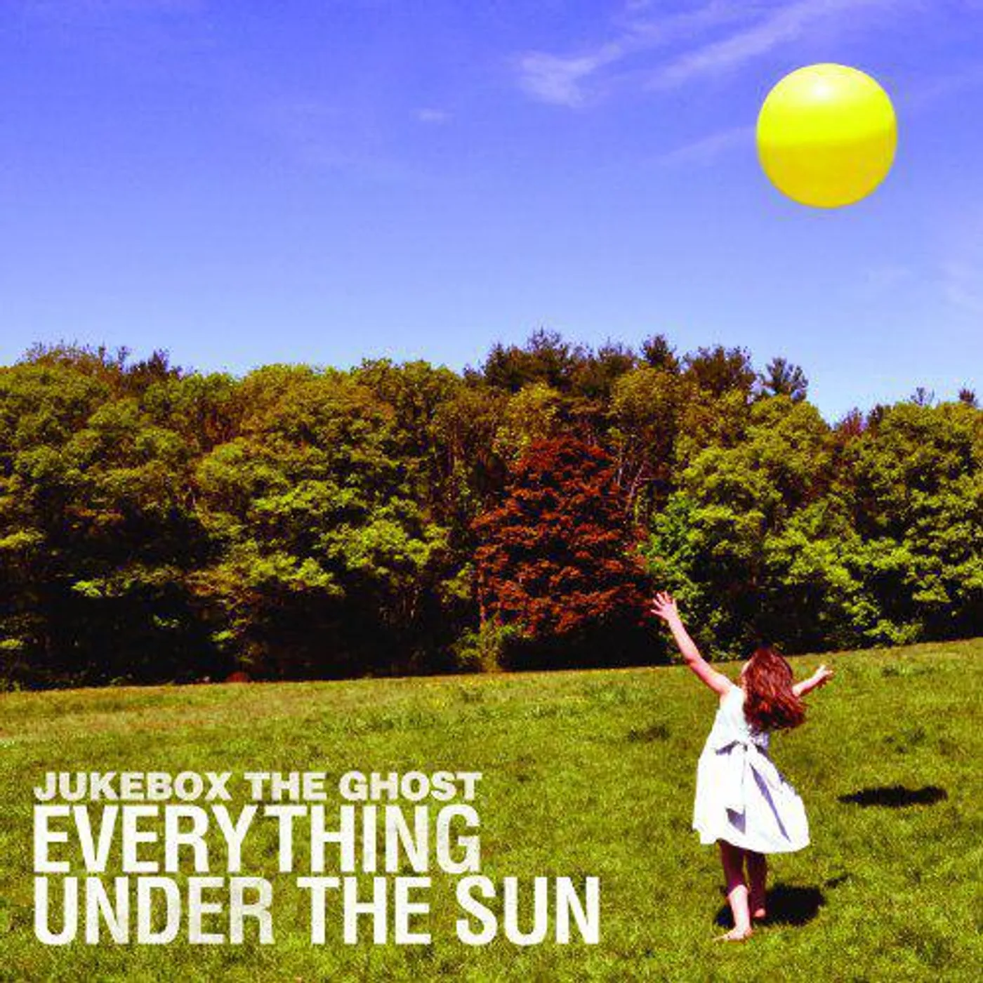 Jukebox The Ghost Everything Under the Sun Vinyl Record