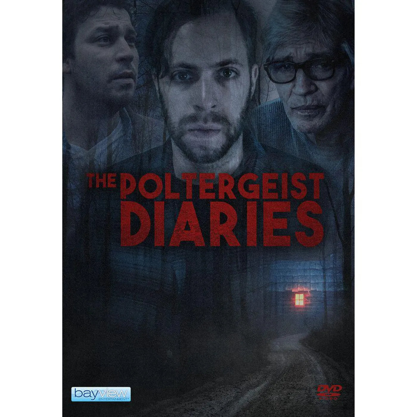 POLTERGEIST DIARIES DVD