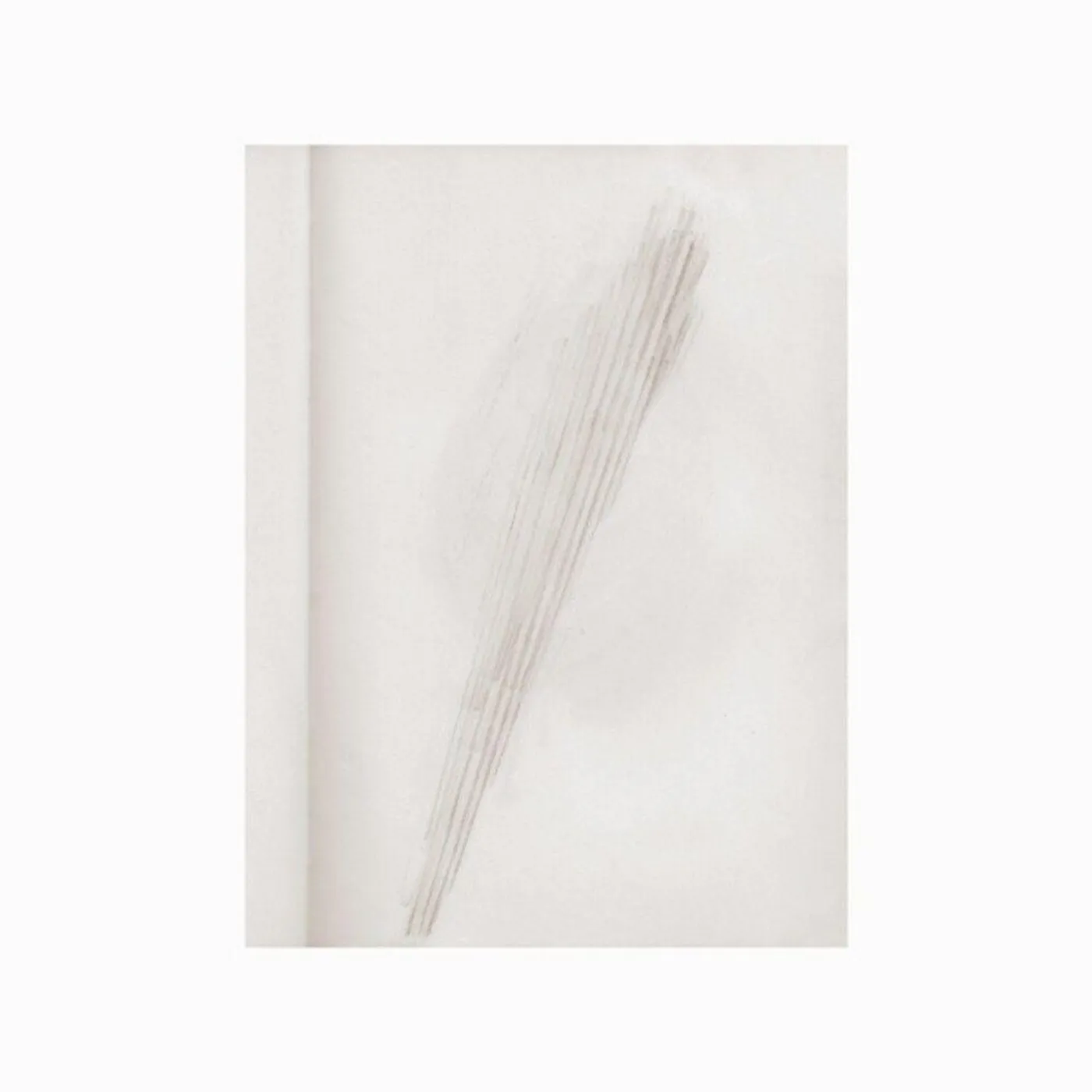 Lawrence English MIRROR HOLDS THE SKY CD