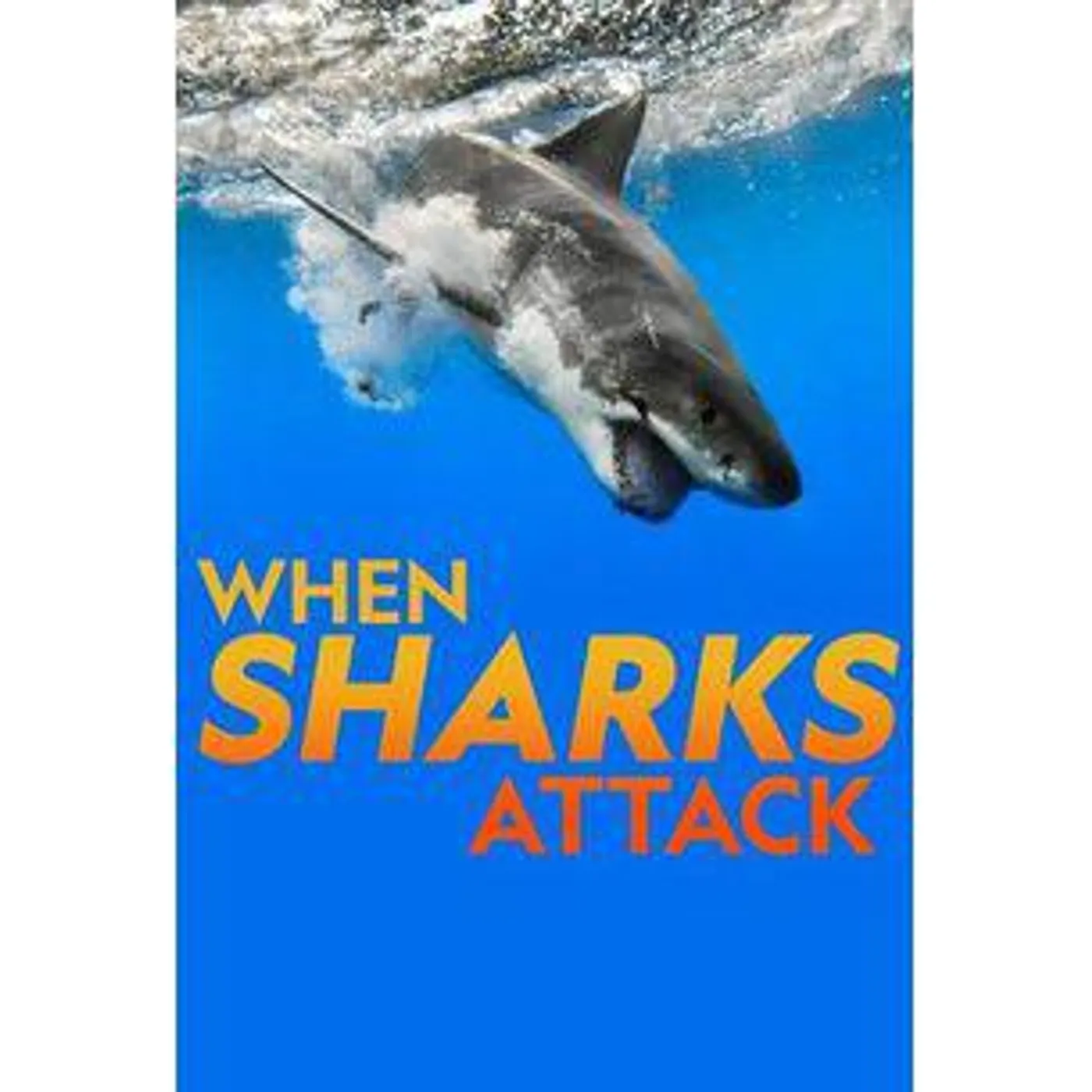 WHEN SHARKS ATTACK: SEASON 7 DVD
