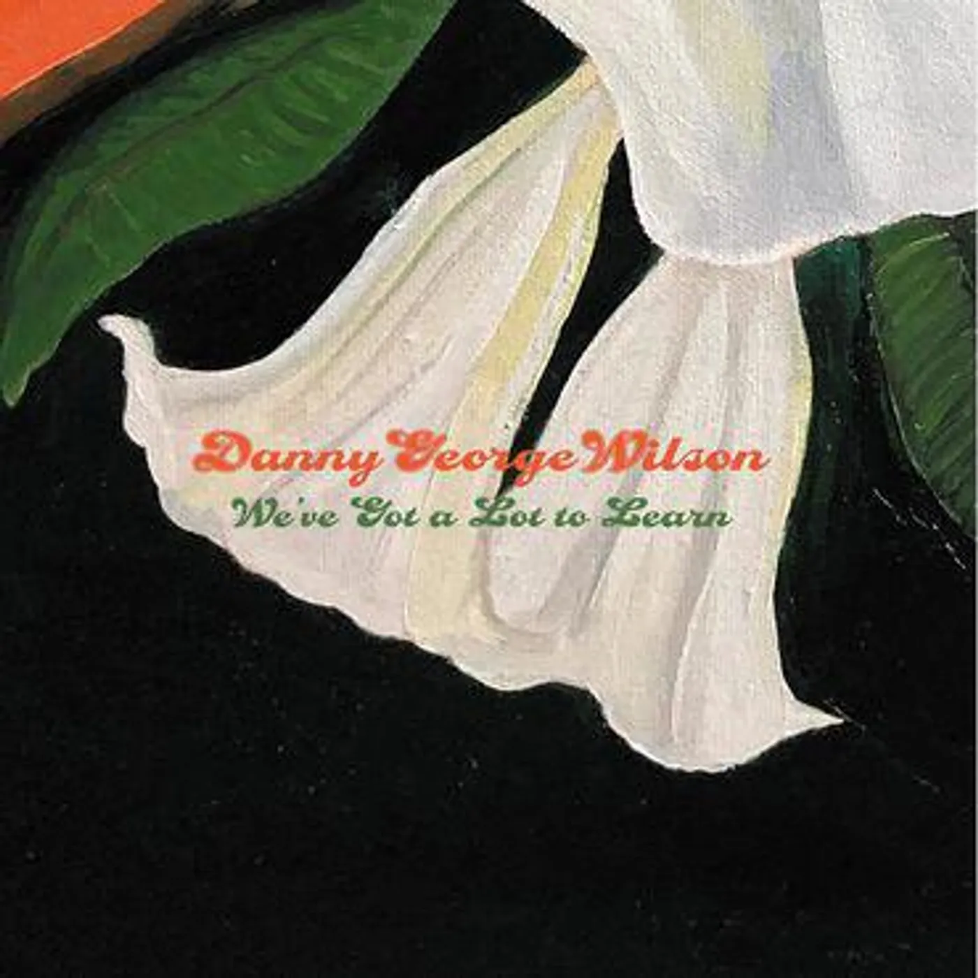 Danny Wilson We've Got a Lot to Learn Vinyl Record