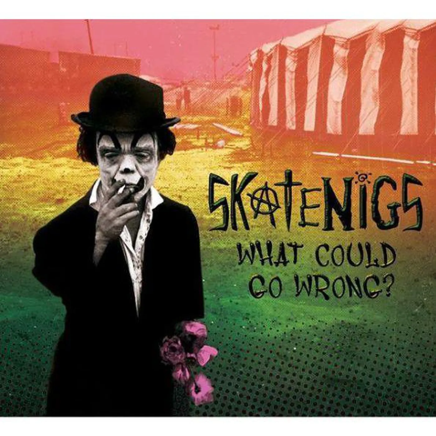 Skatenigs WHAT COULD GO WRONG? CD