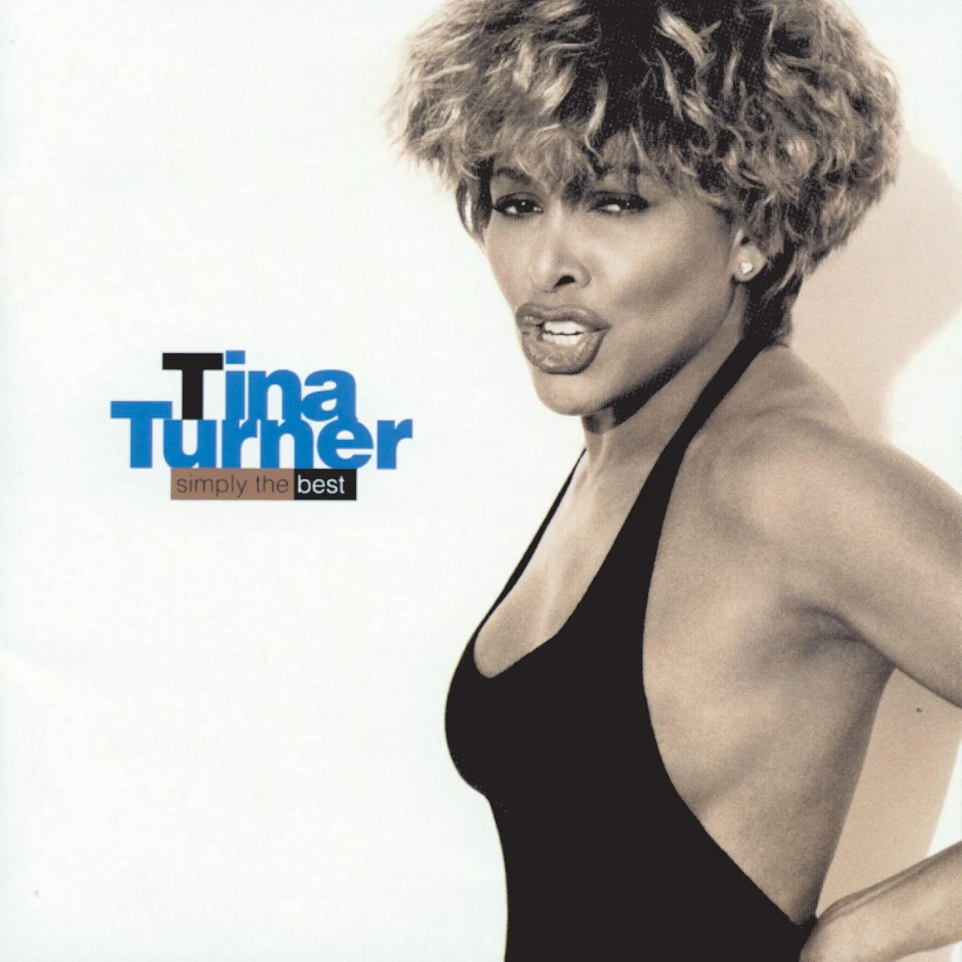Tina Turner Simply the Best (2LP) Vinyl Record